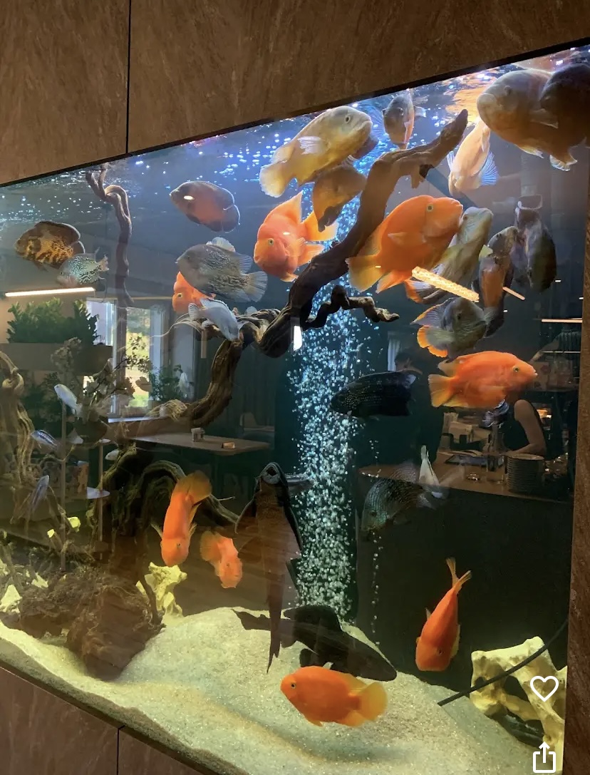 Zefir.Ukrainka image 13