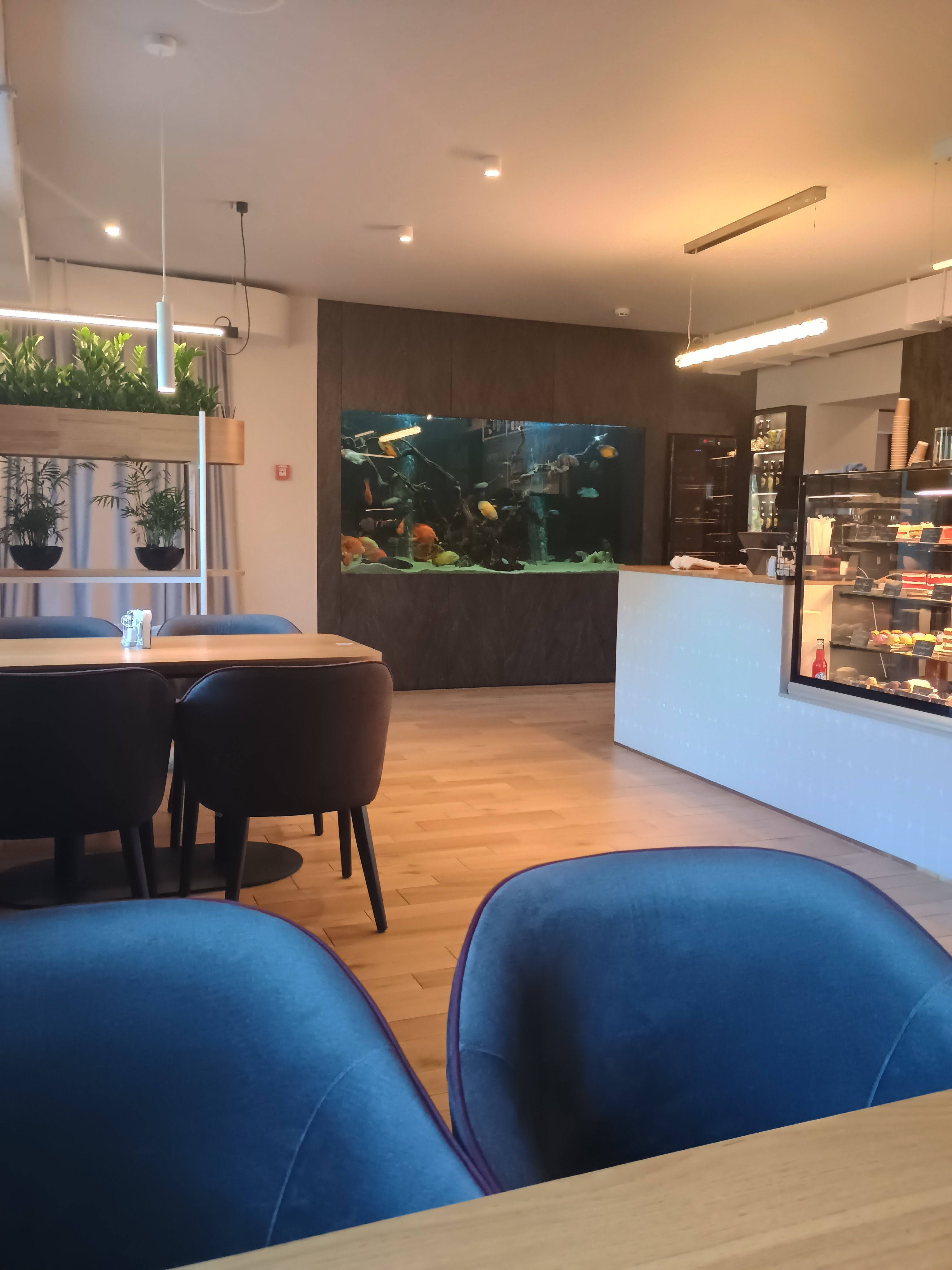 Zefir.Ukrainka image 15