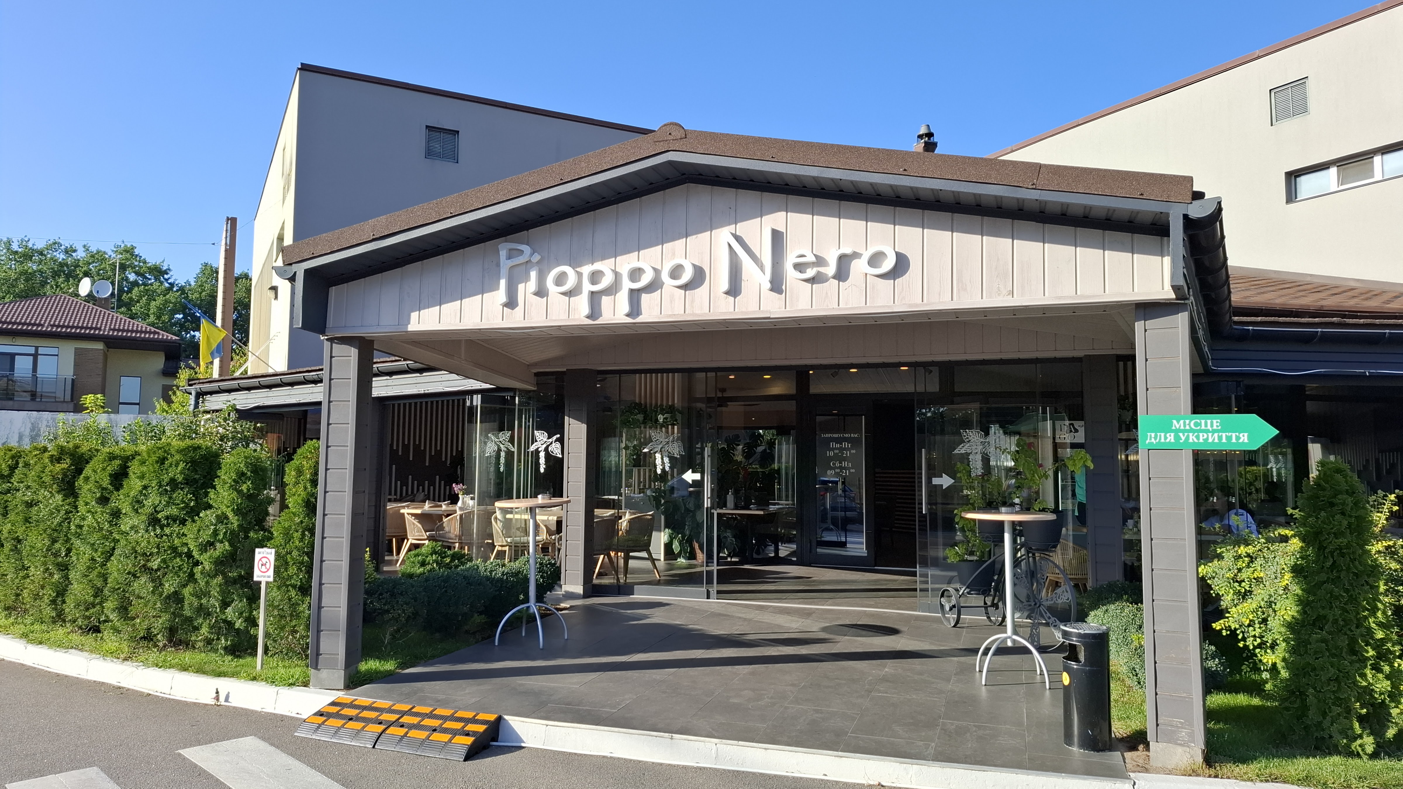 Pioppo Nero image 13