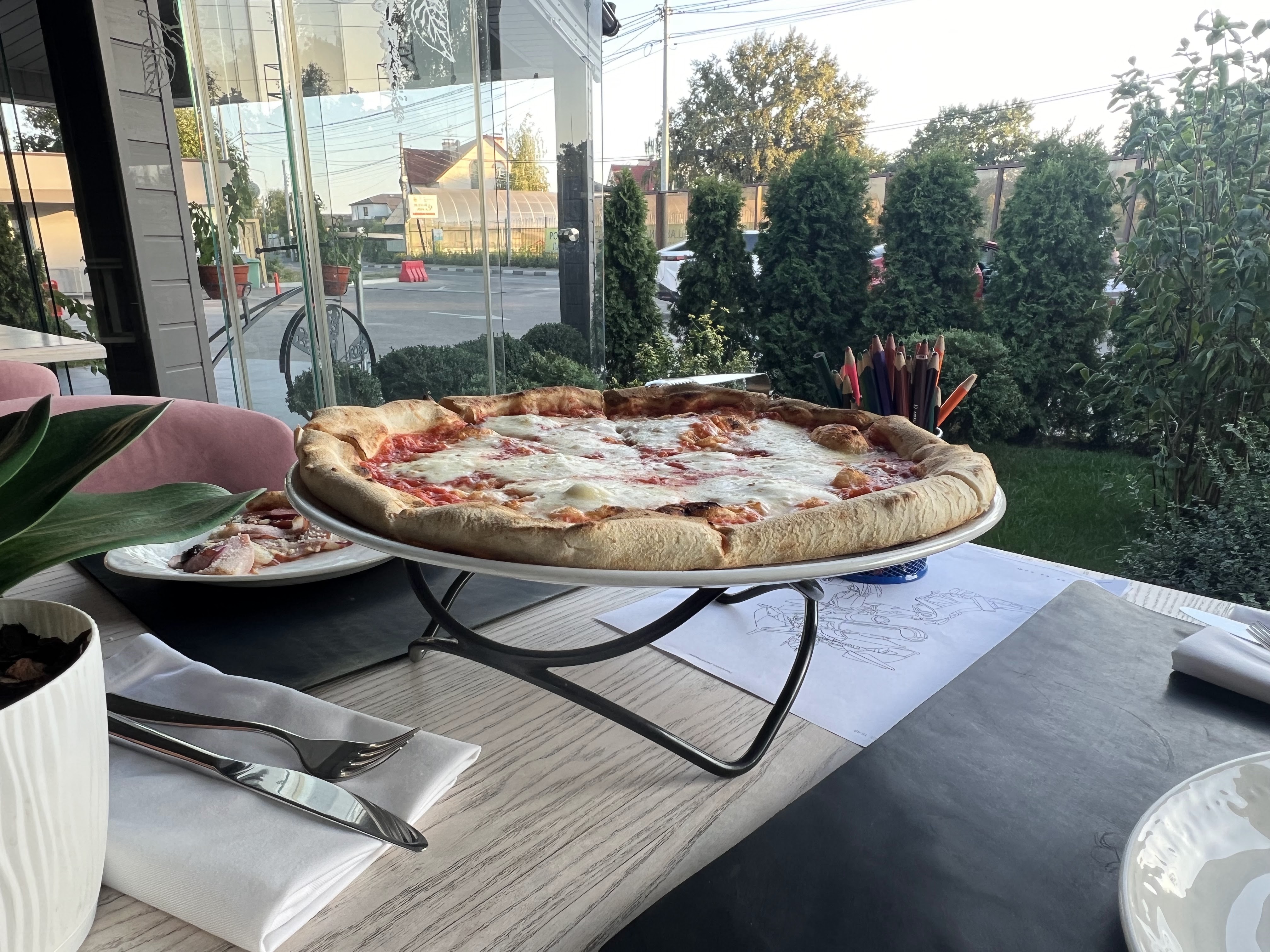 Pioppo Nero image 16