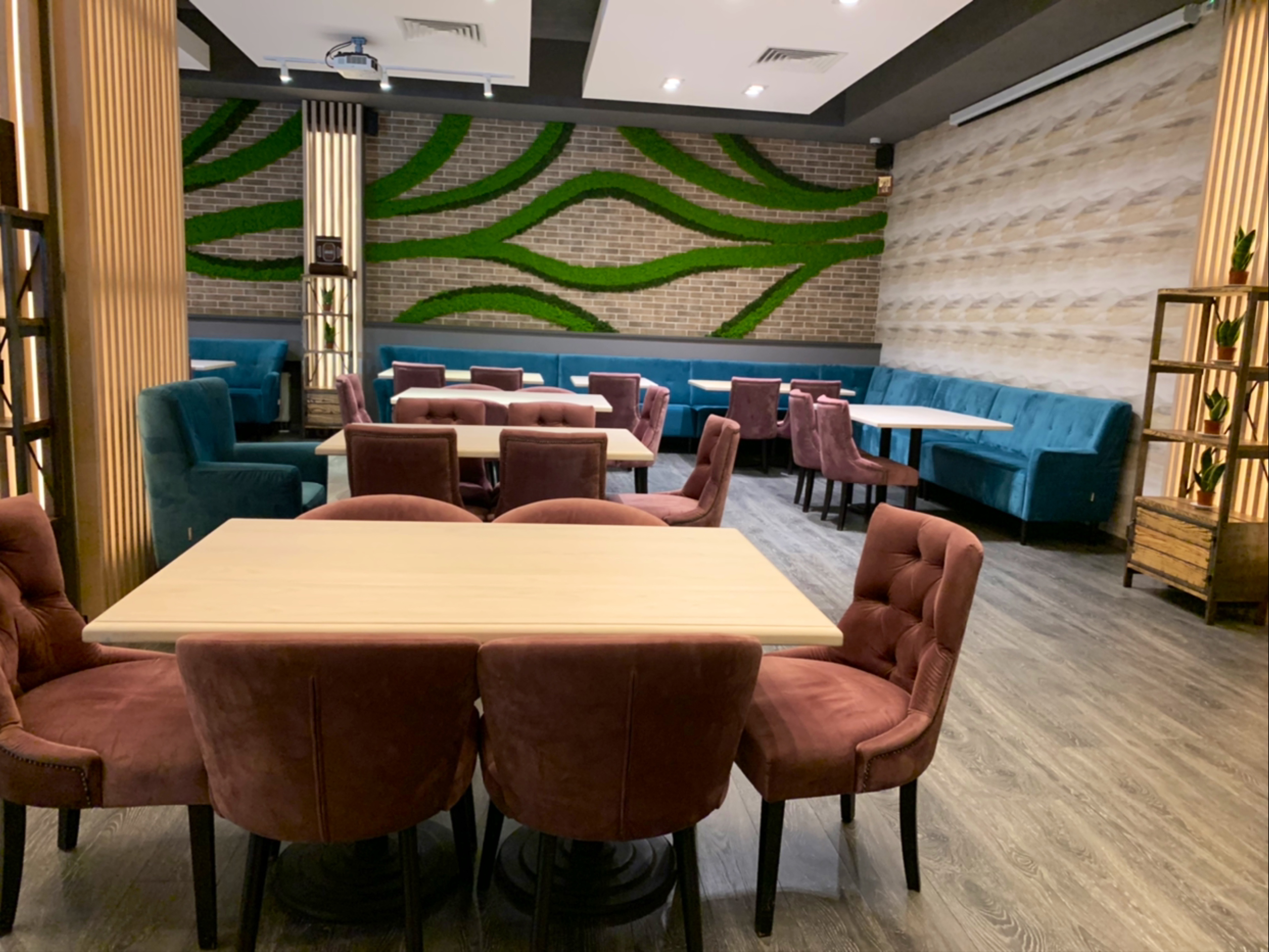 Pioppo Nero image 19