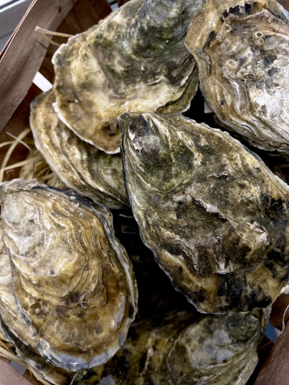 FISH MARKET image 16