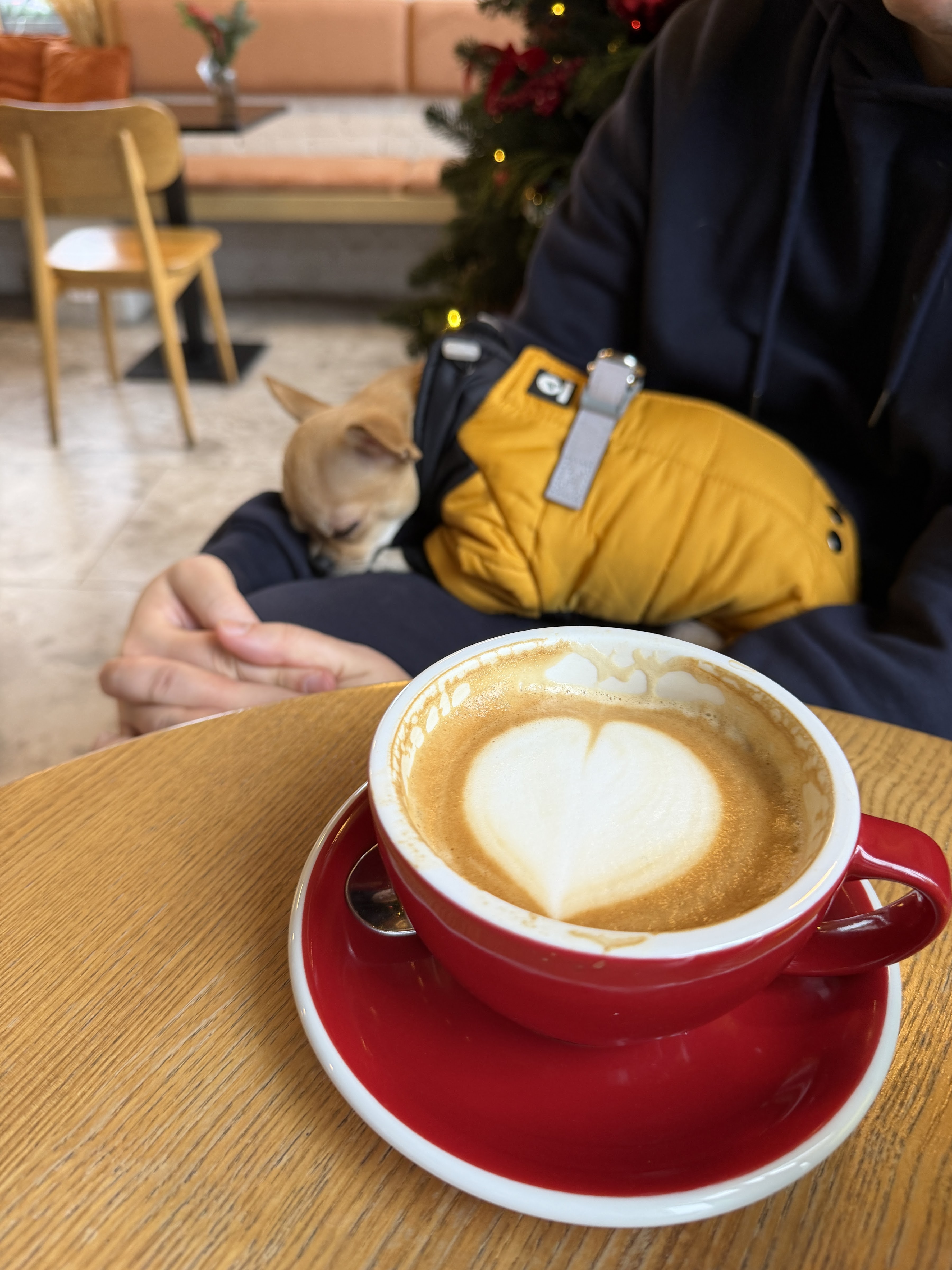 Sunday Cafe image 20