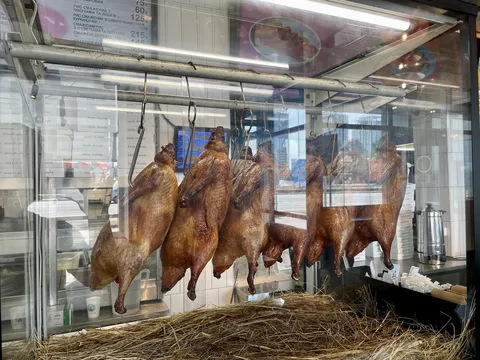 Duck, Please image 15