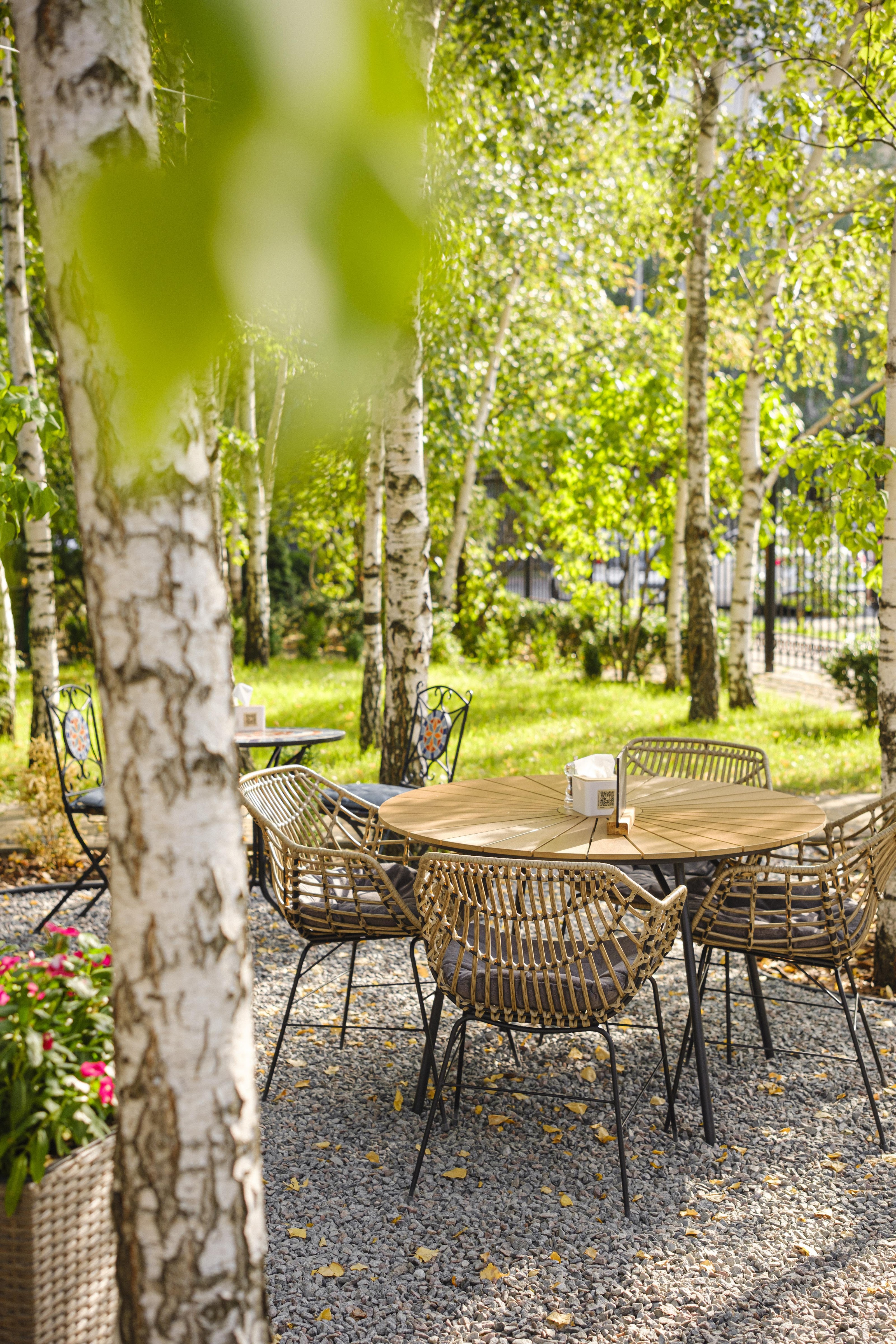 Syto-P'yano image 11