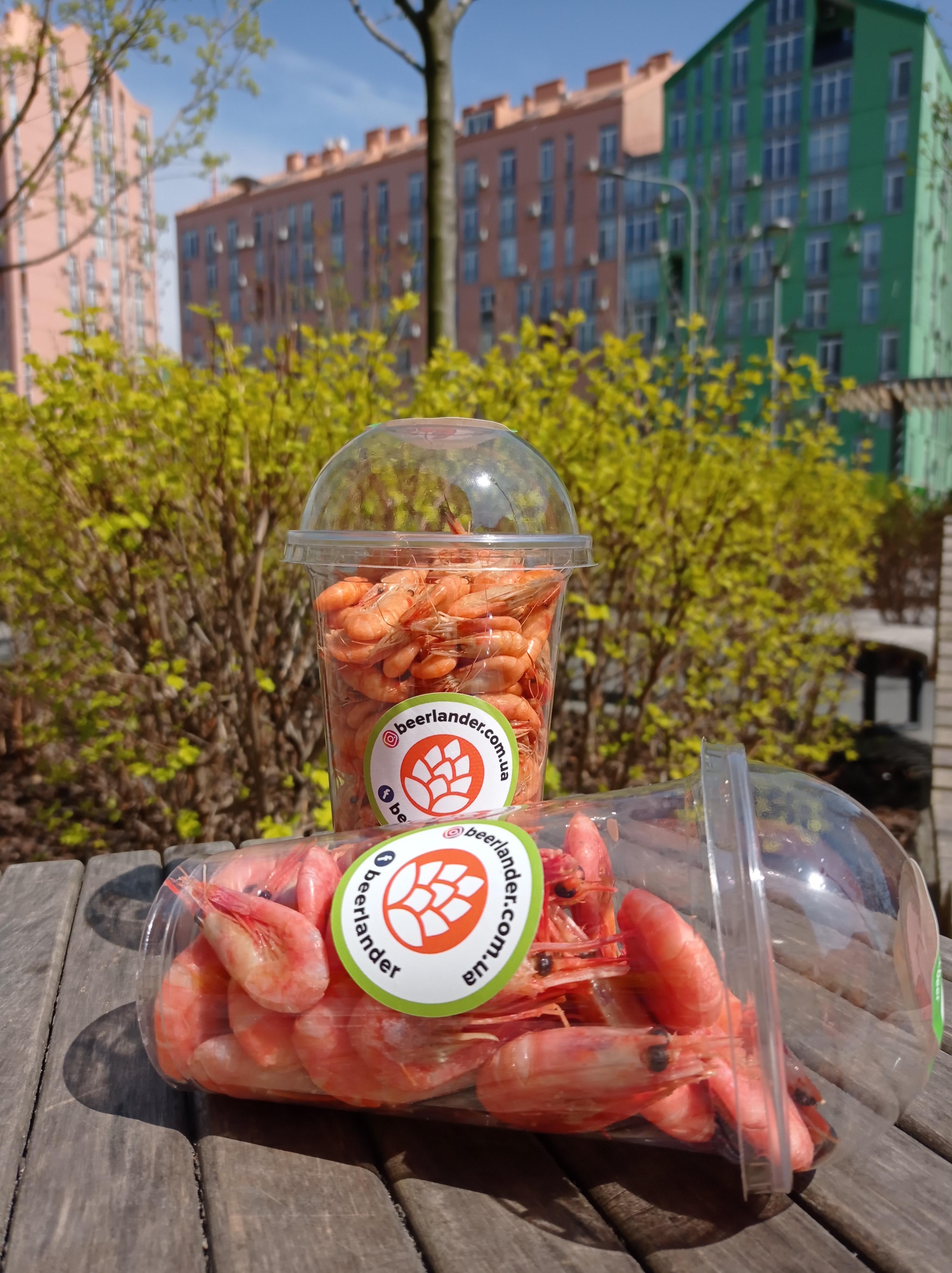 РаКоВаРня image 4