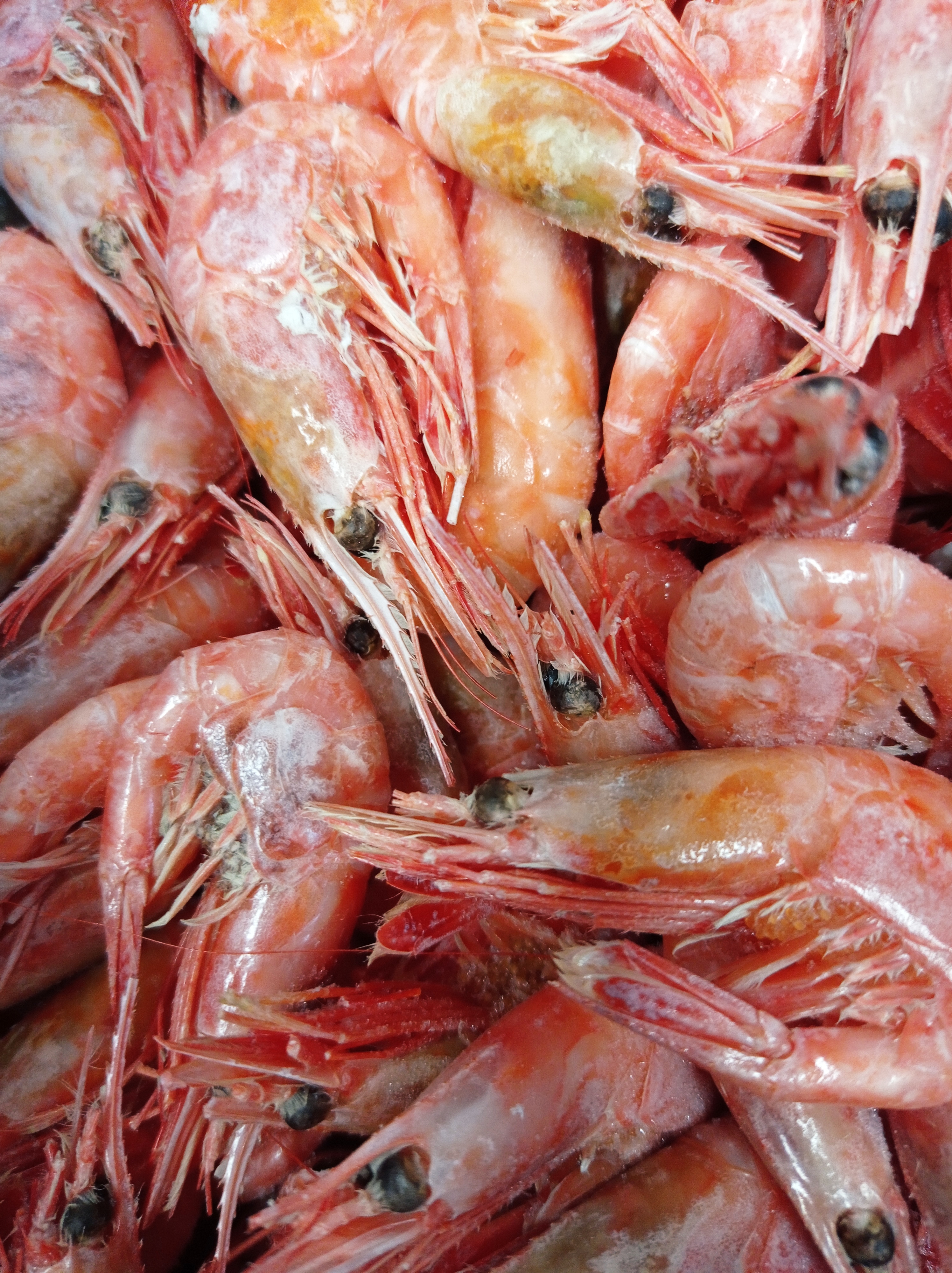 РаКоВаРня image 5