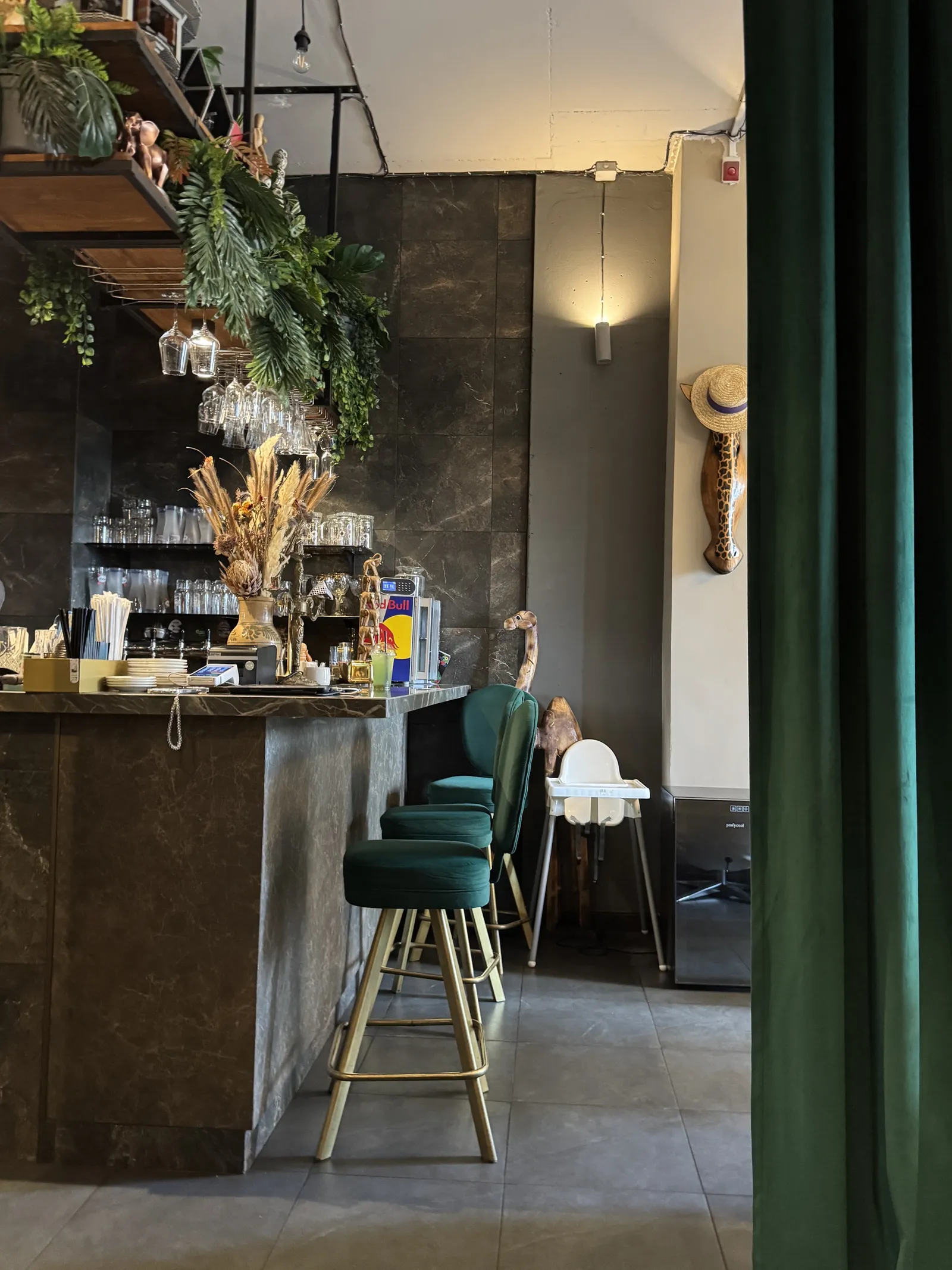 Dvir image 19