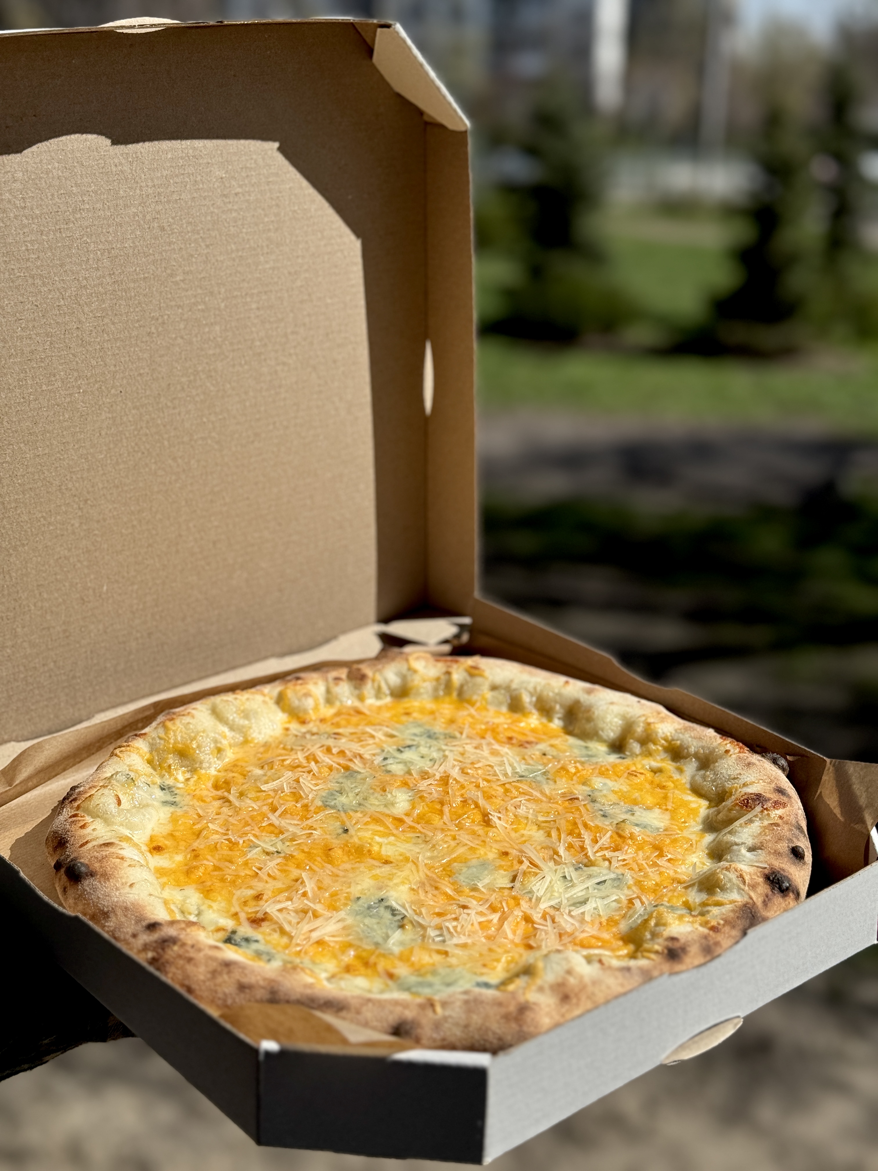 Forest pizza image 17