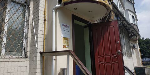 Velvet image 4