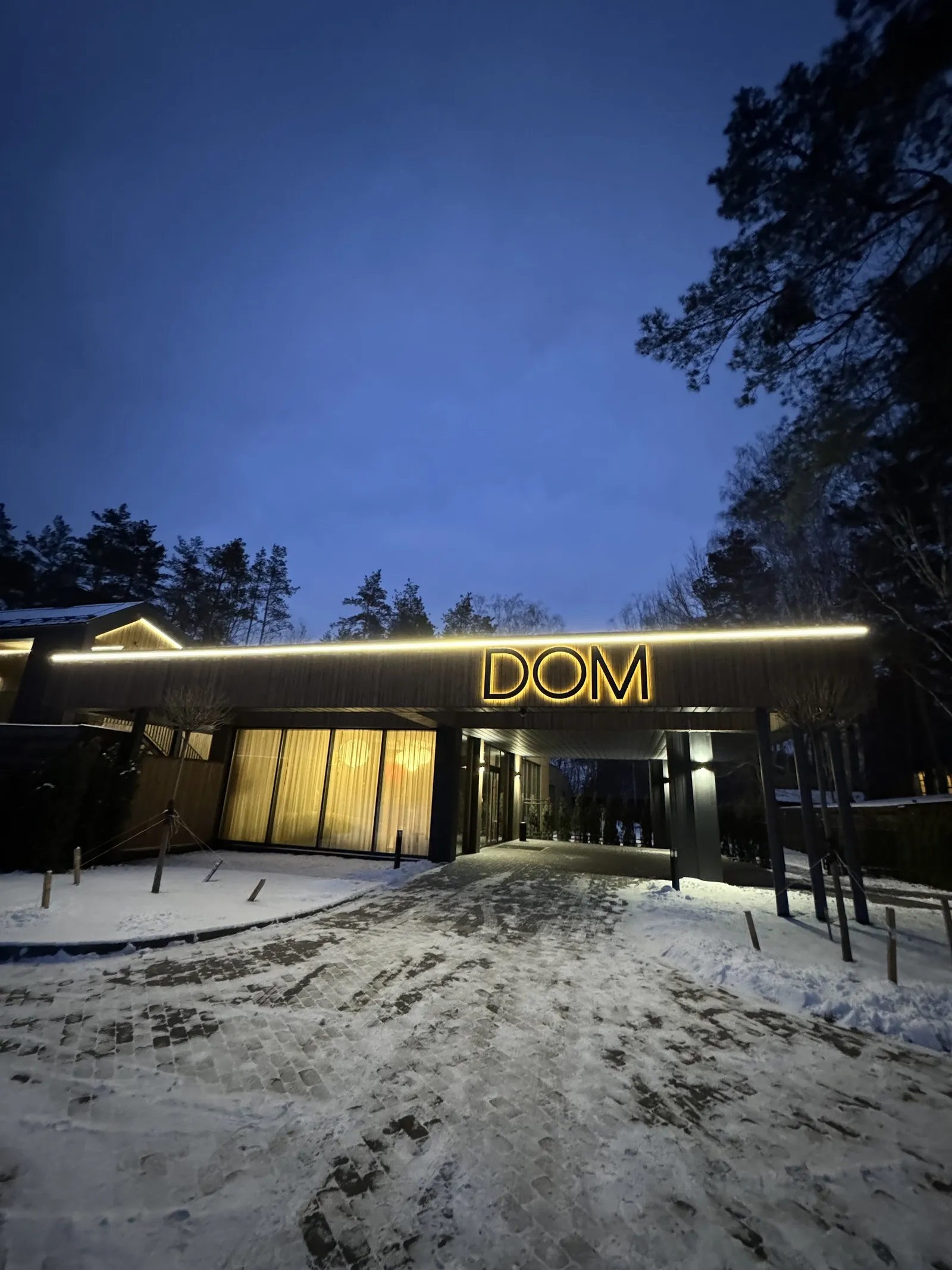DOM image 15