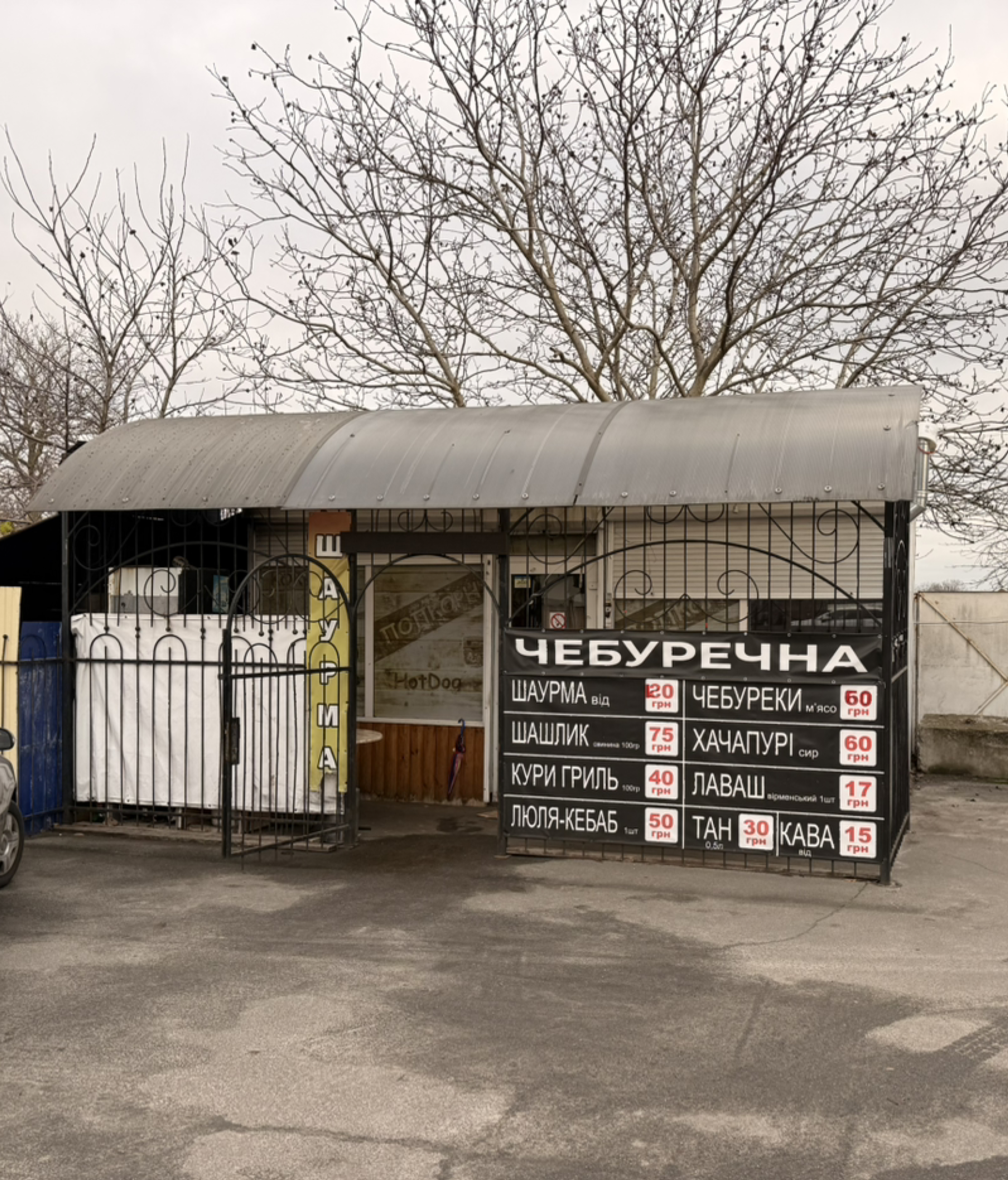 Chebureky Vid Samsona image 14