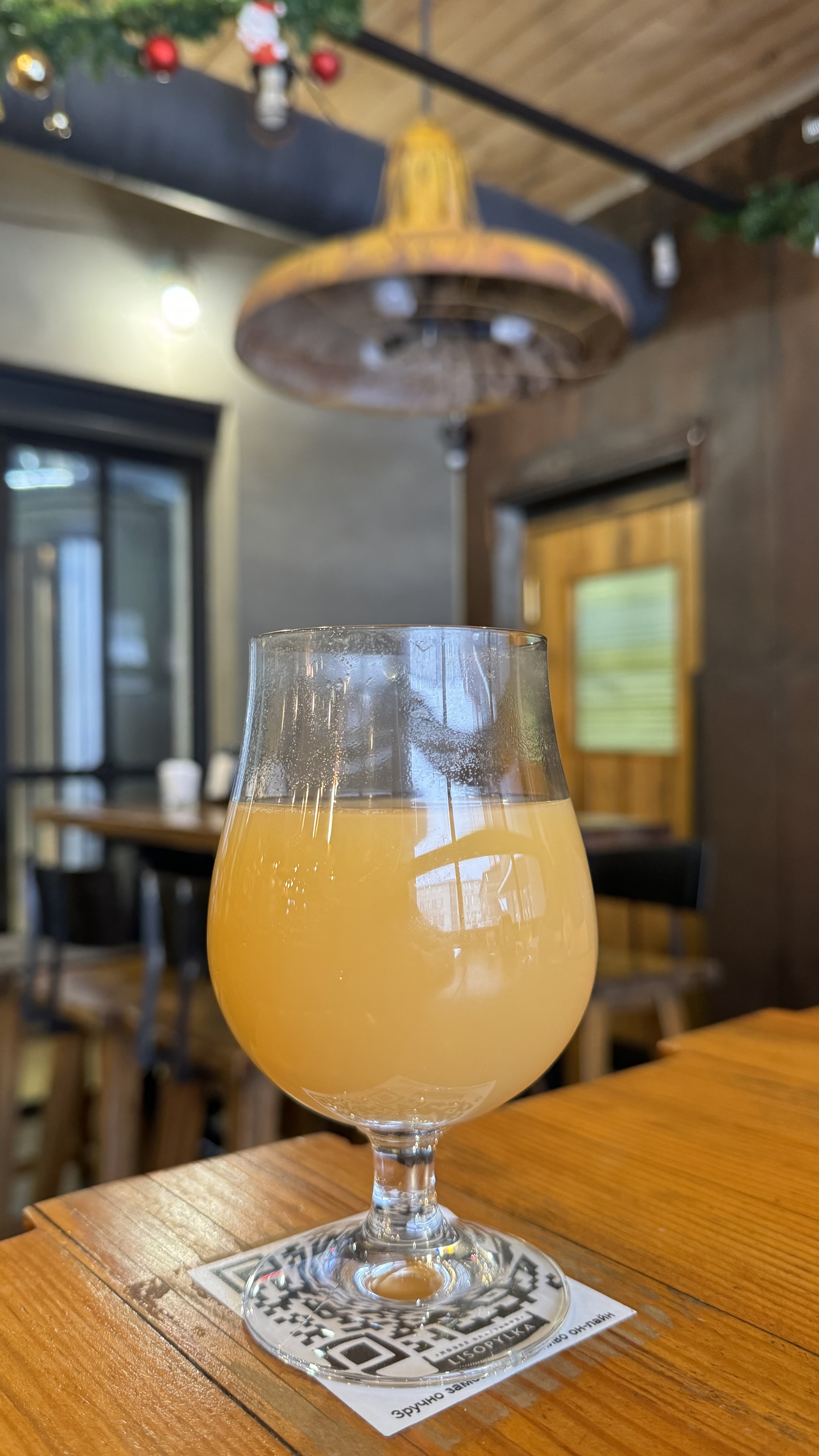 Lisopylka Bar image 9