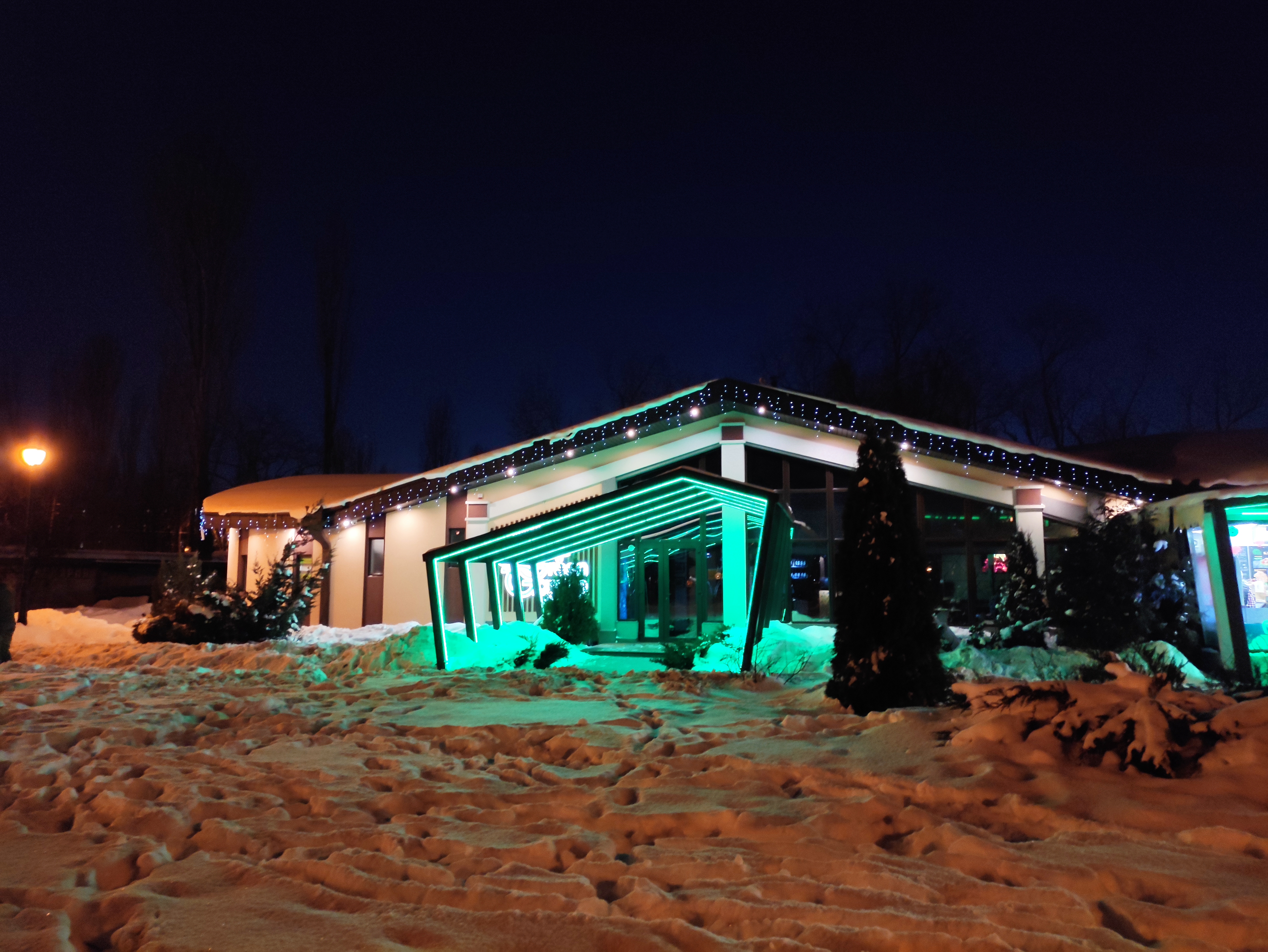 Green Garden image 18