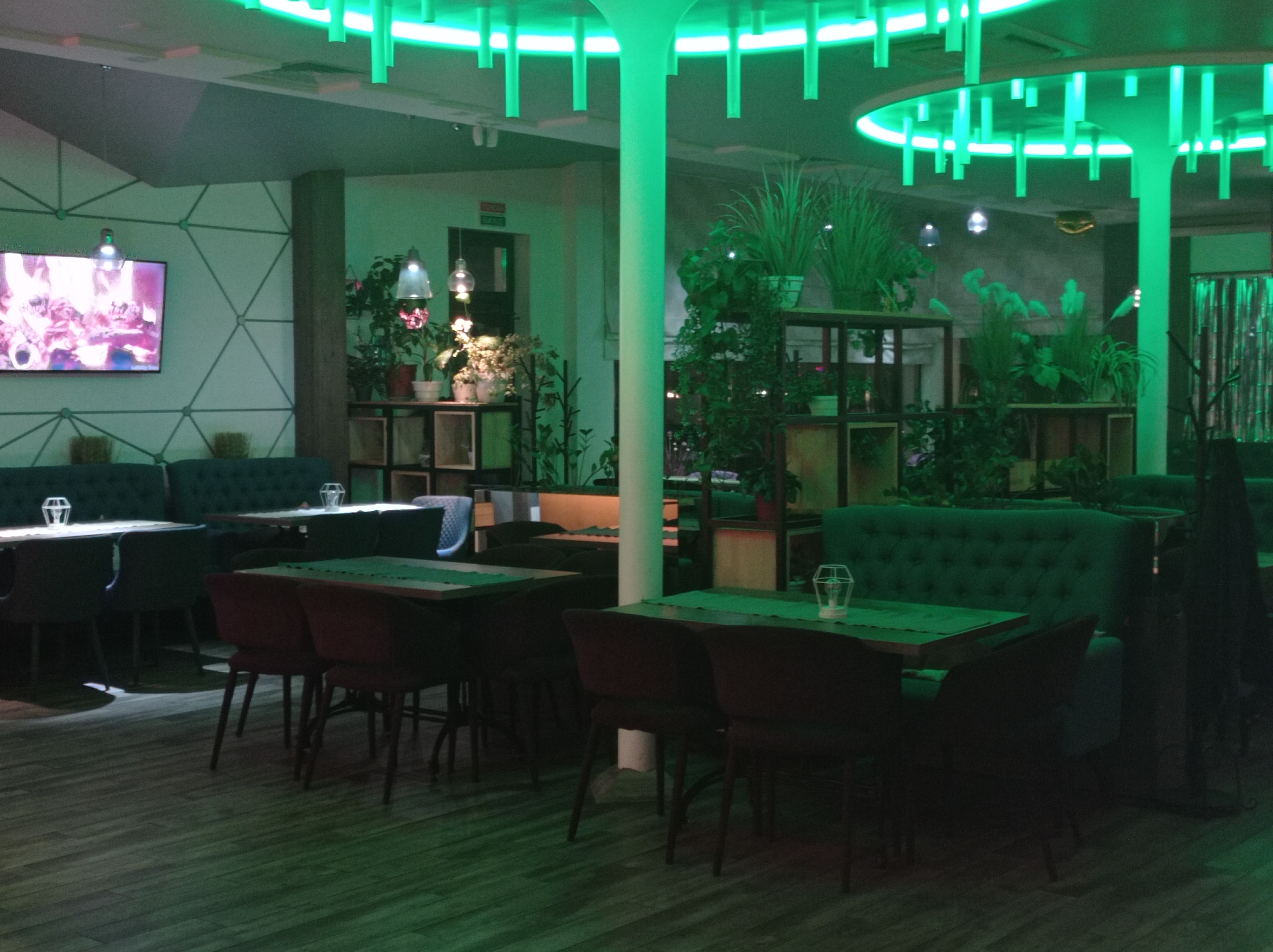 Green Garden image 20