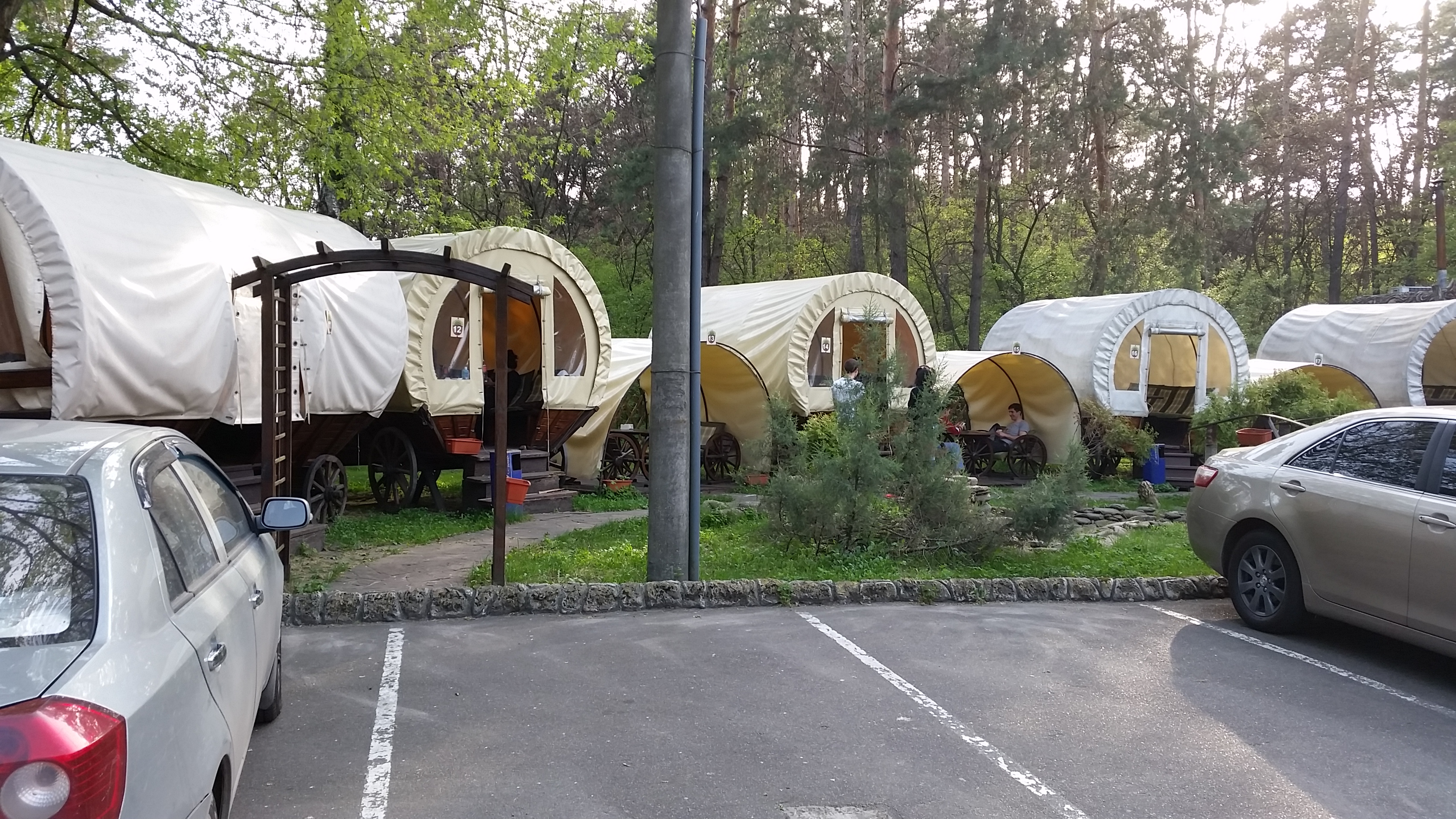 Forest tale image 18