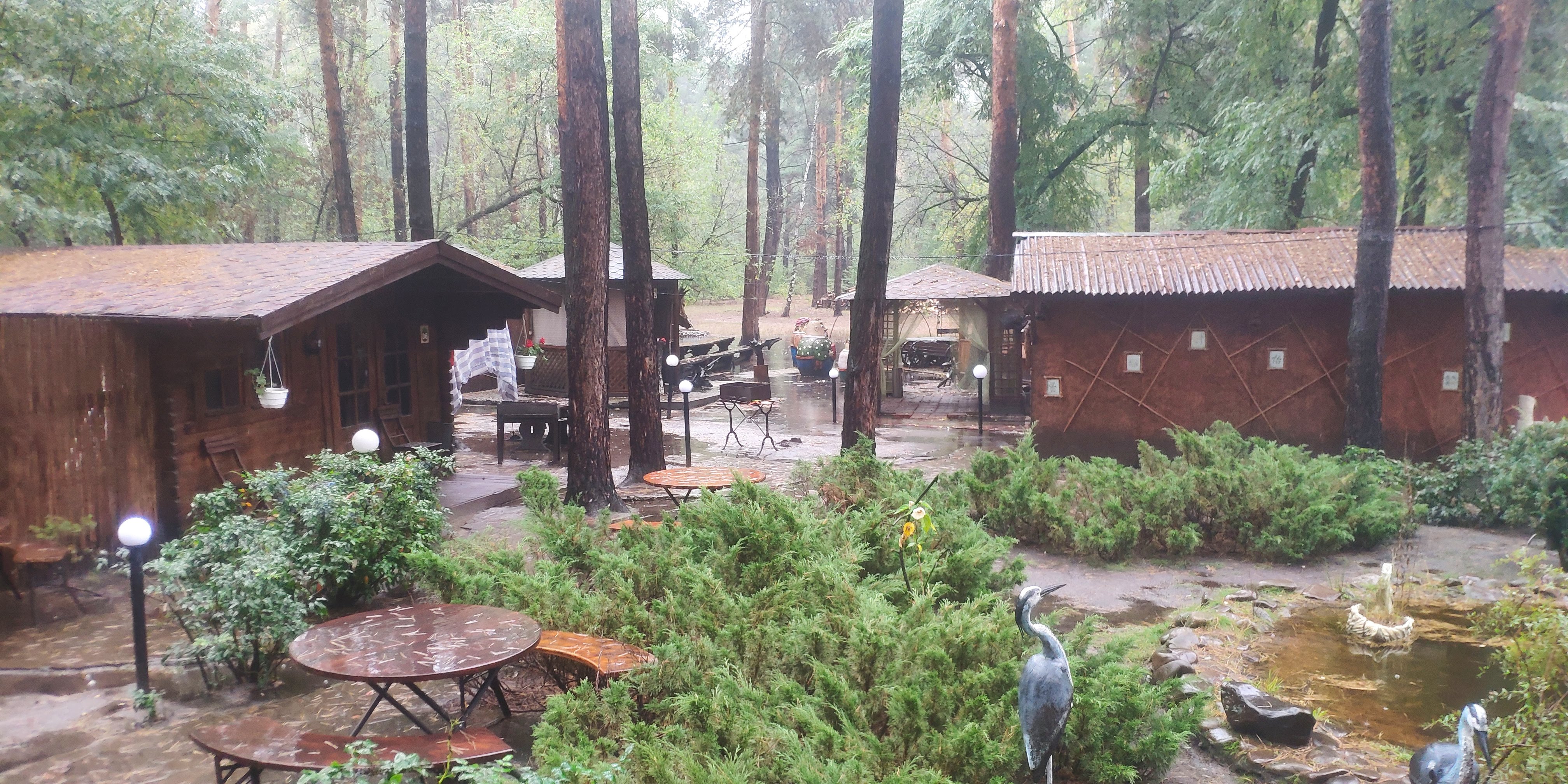 Forest tale image 19