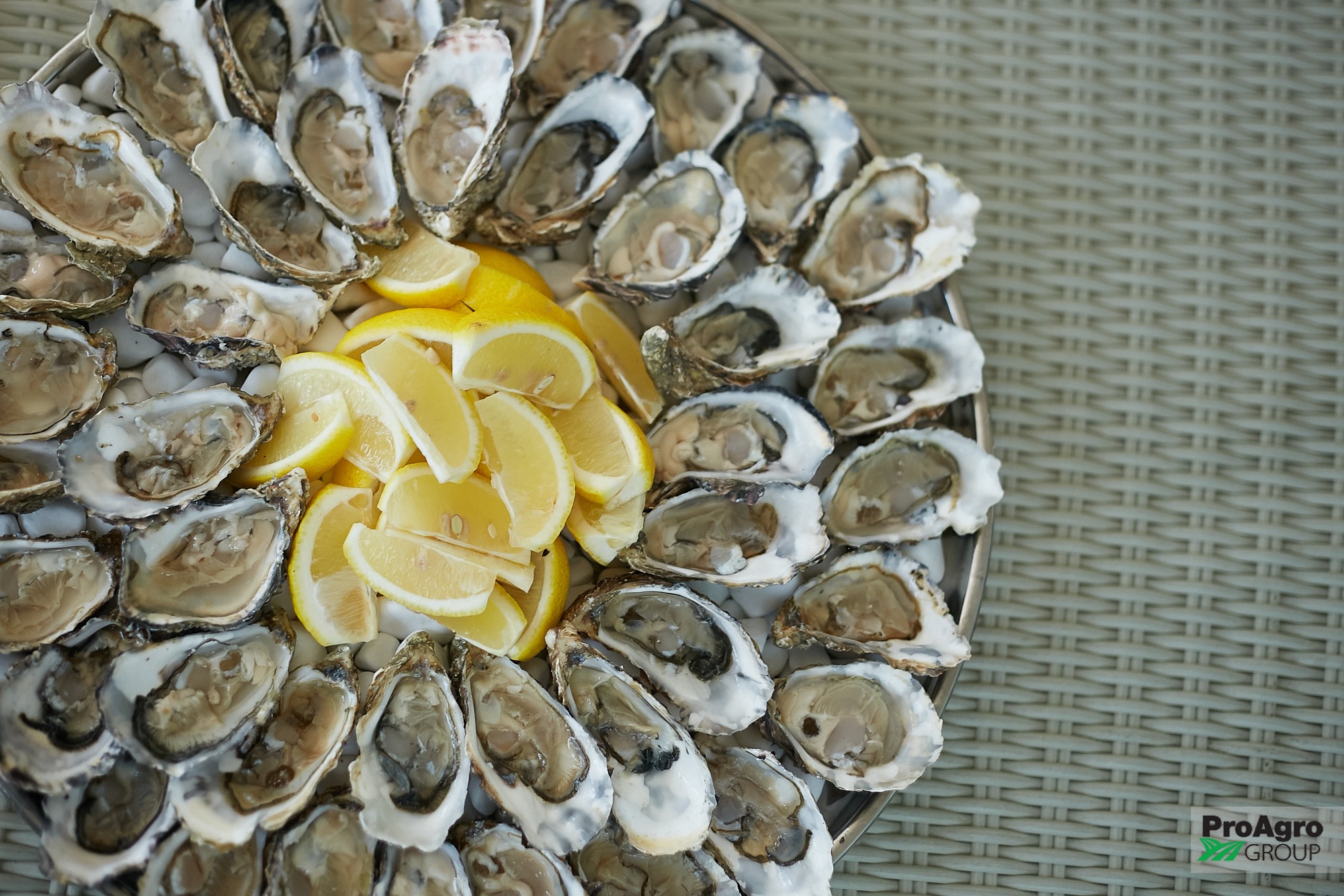 Чорноморка image 14