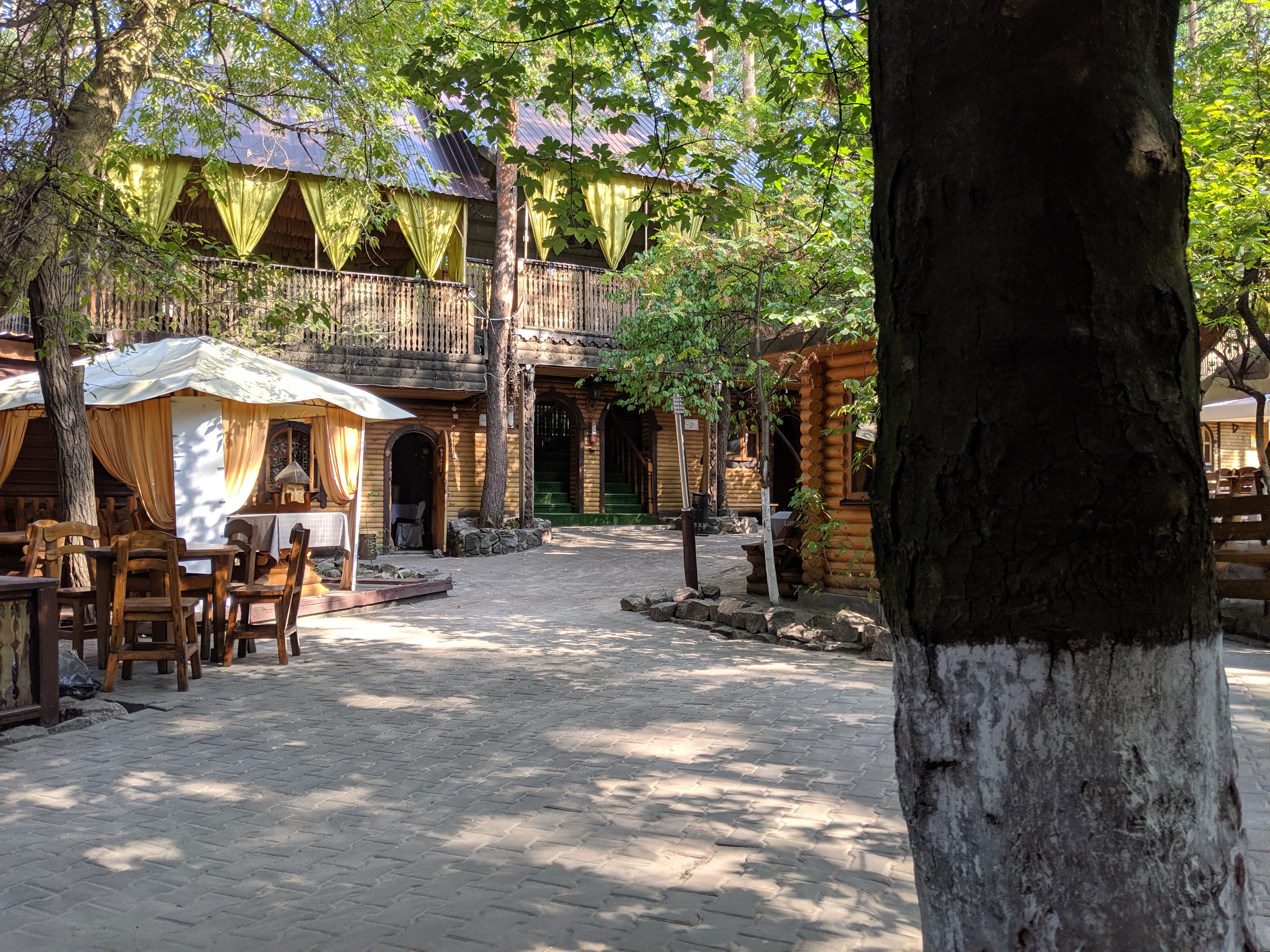 In the forest image 15