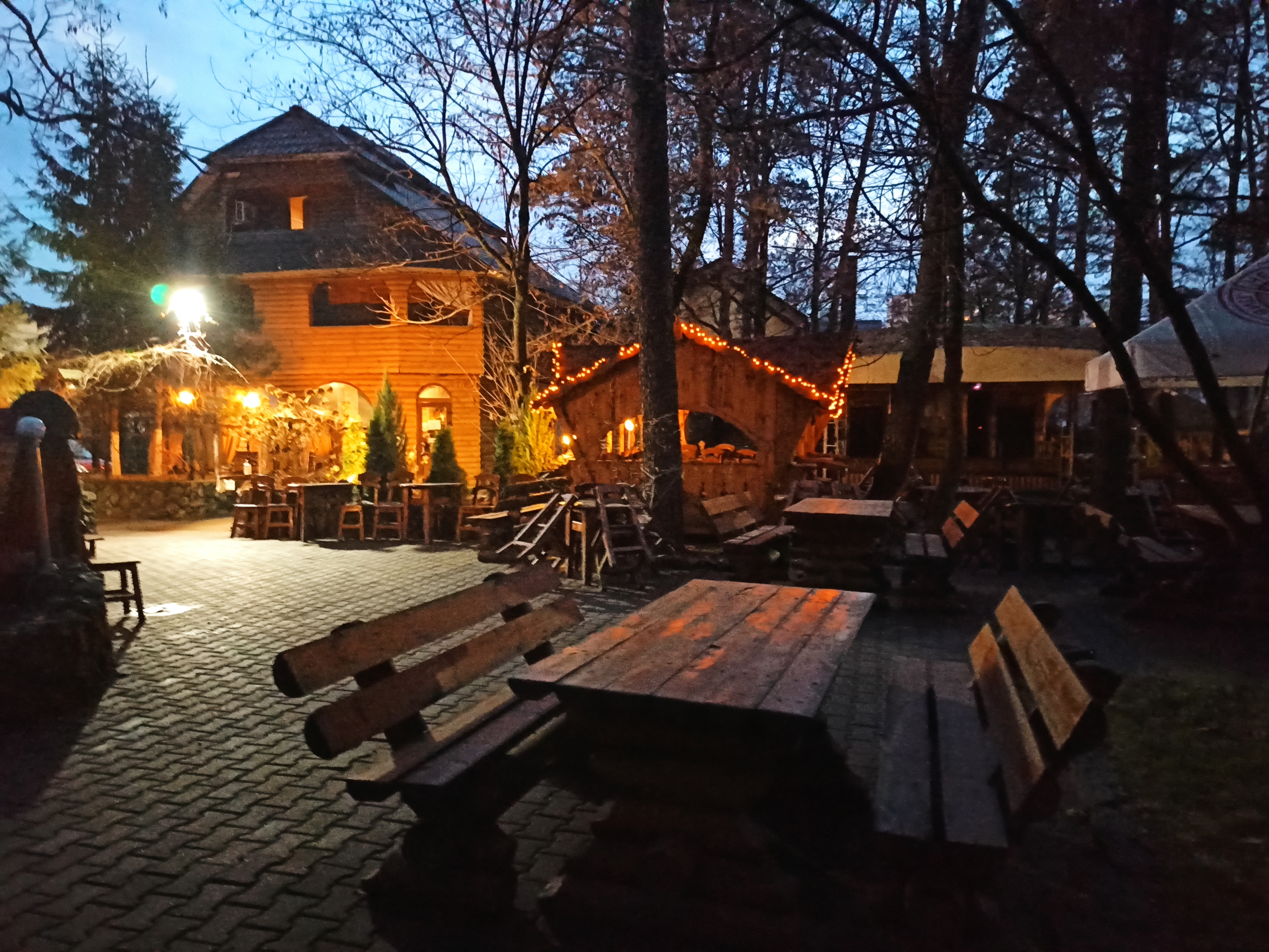 In the forest image 16