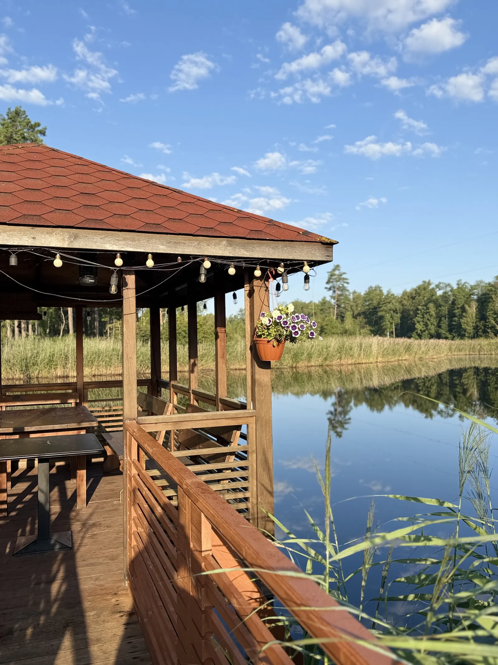 ресторан Veres image 13
