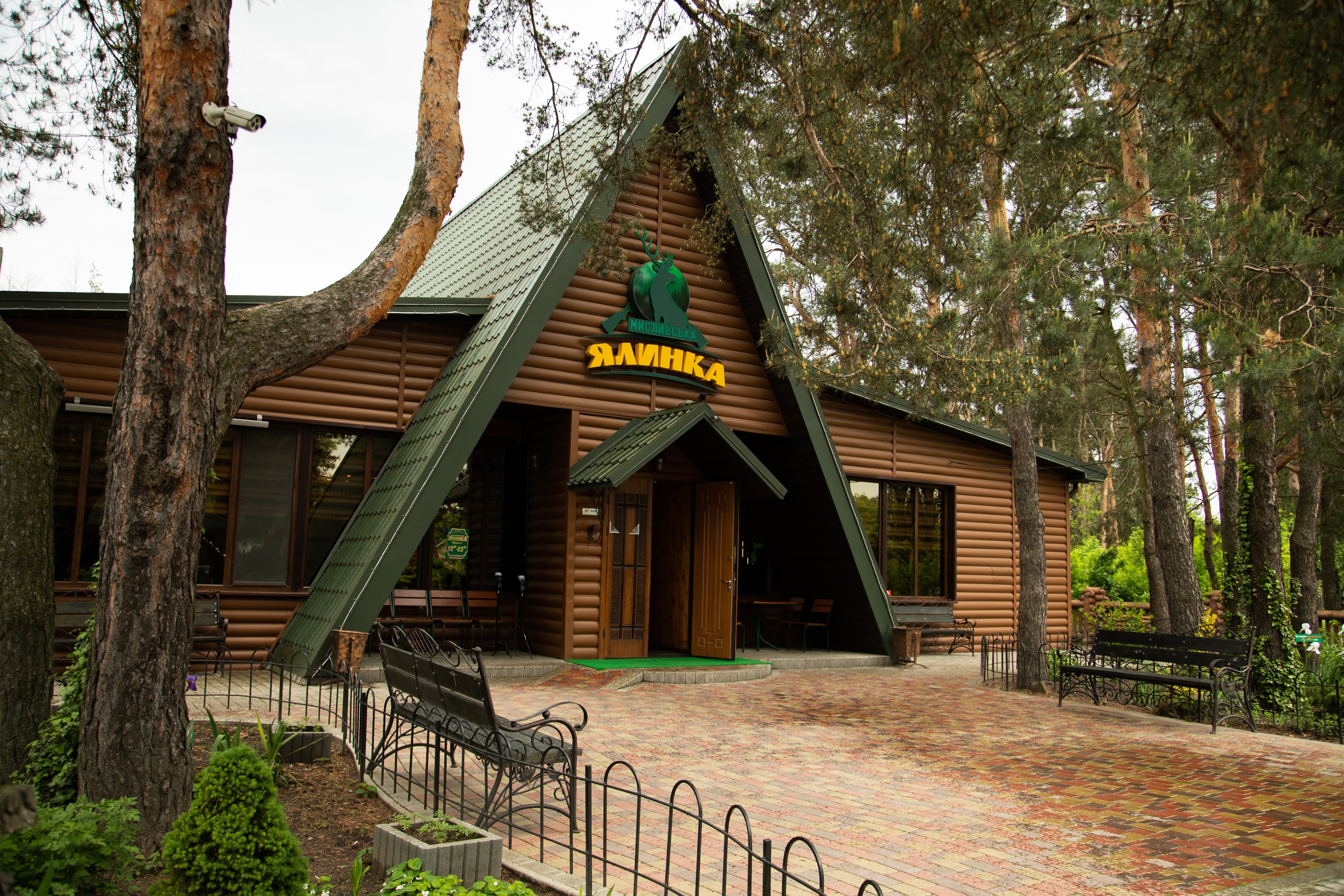 Myslyvsʹka Yalynka image 13