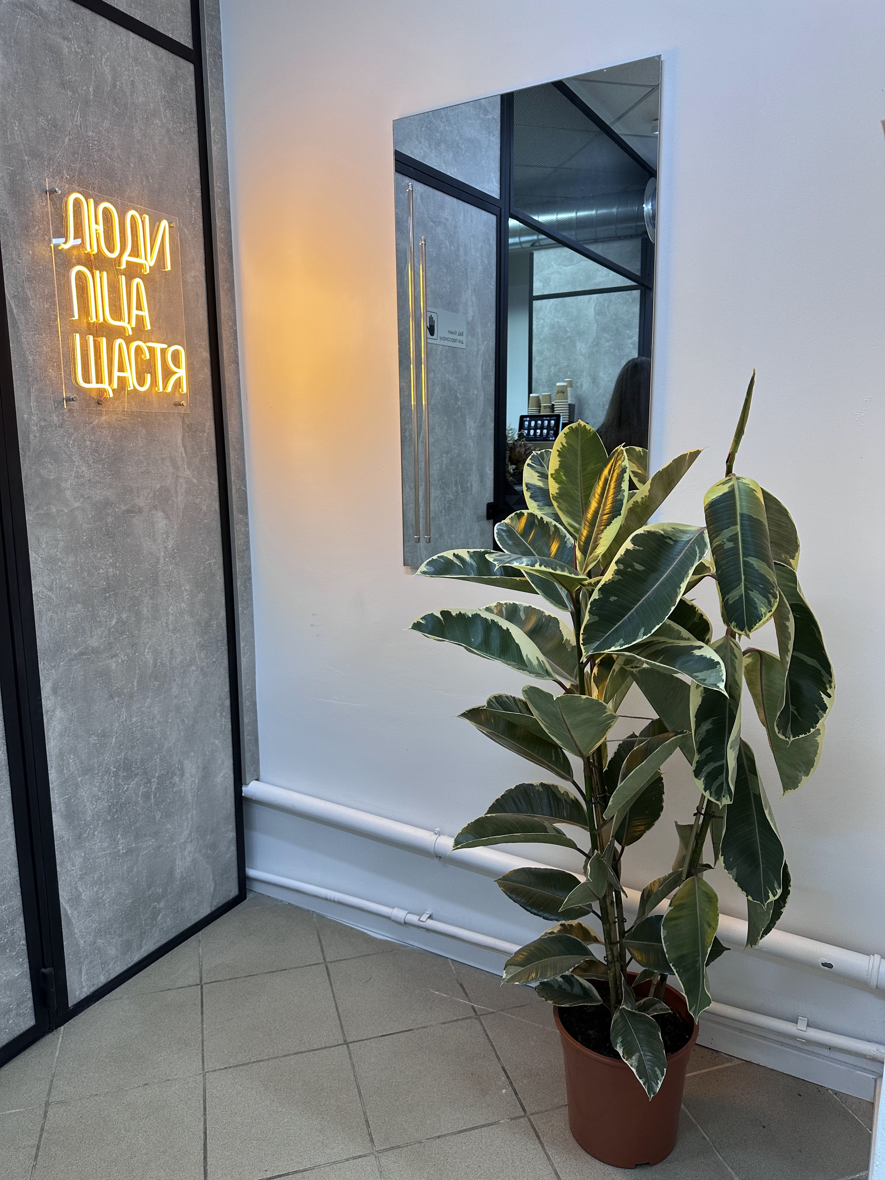 Піцерія Craft Pizza&Coffee image 10