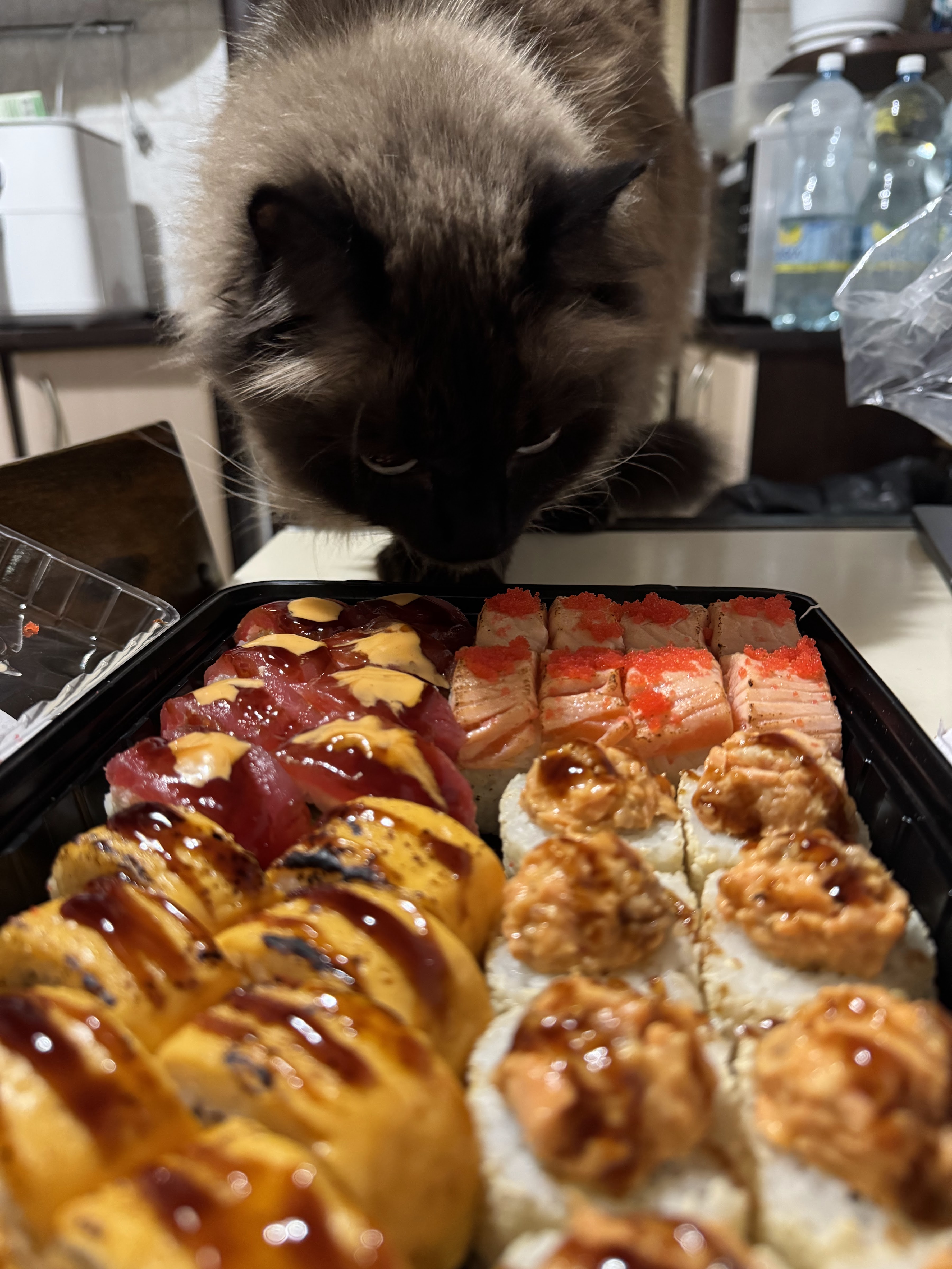 shotakesushi image 18