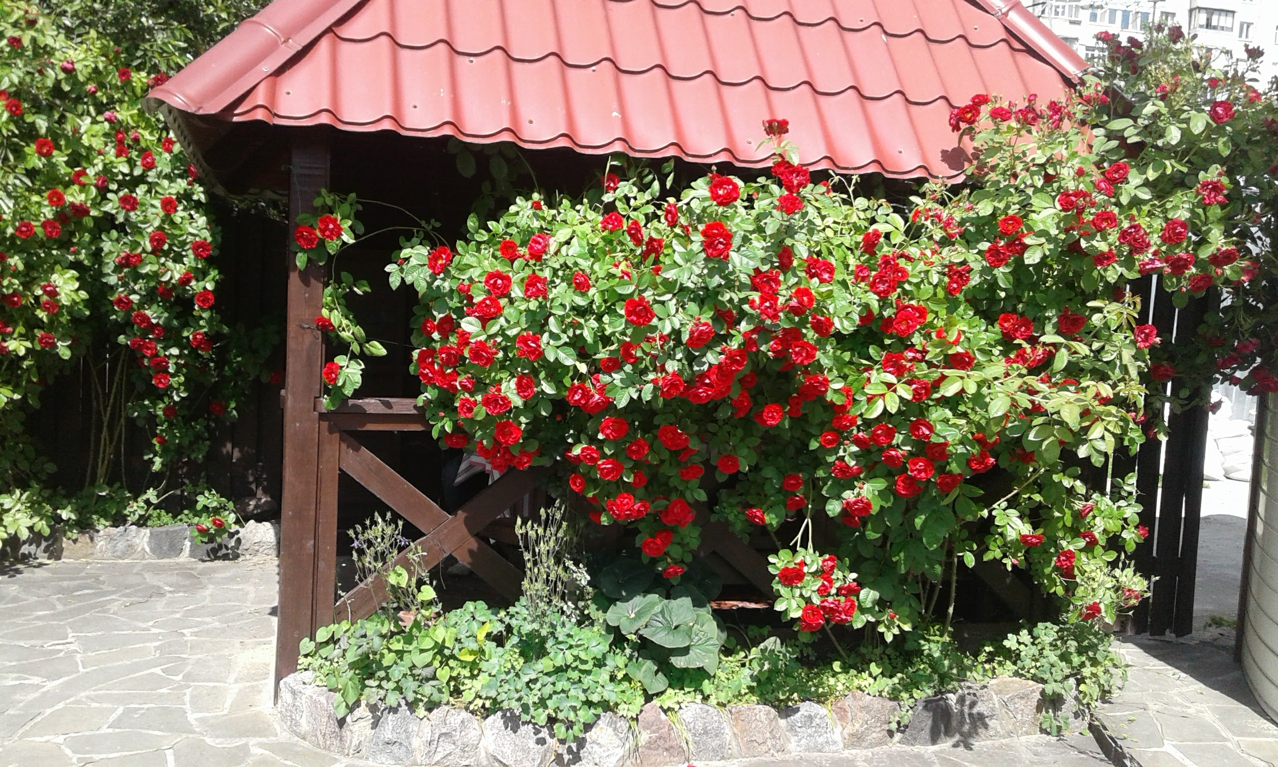 Kozatsʹki Zabavy image 19