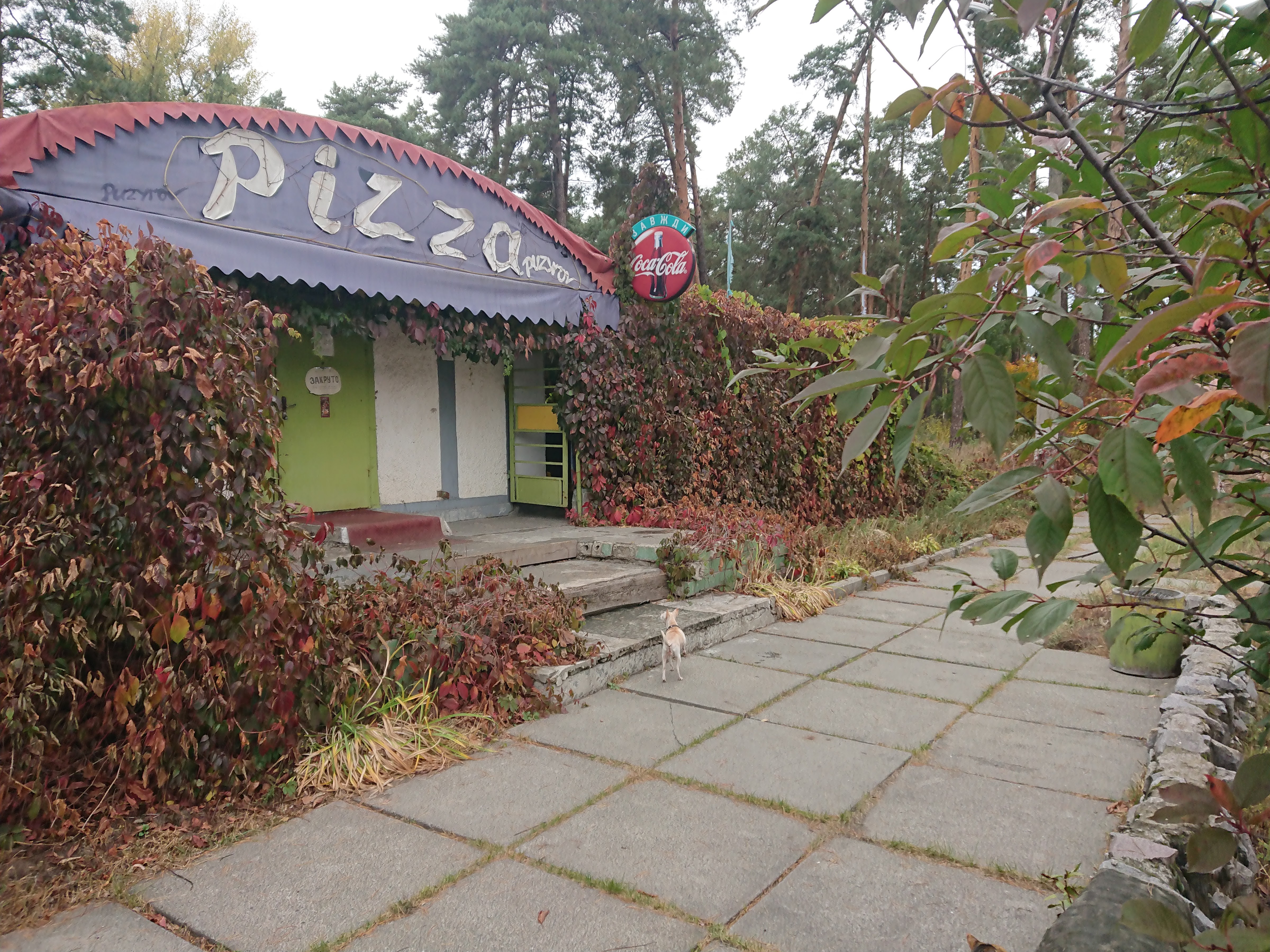 Pizza Puzyrov image 11