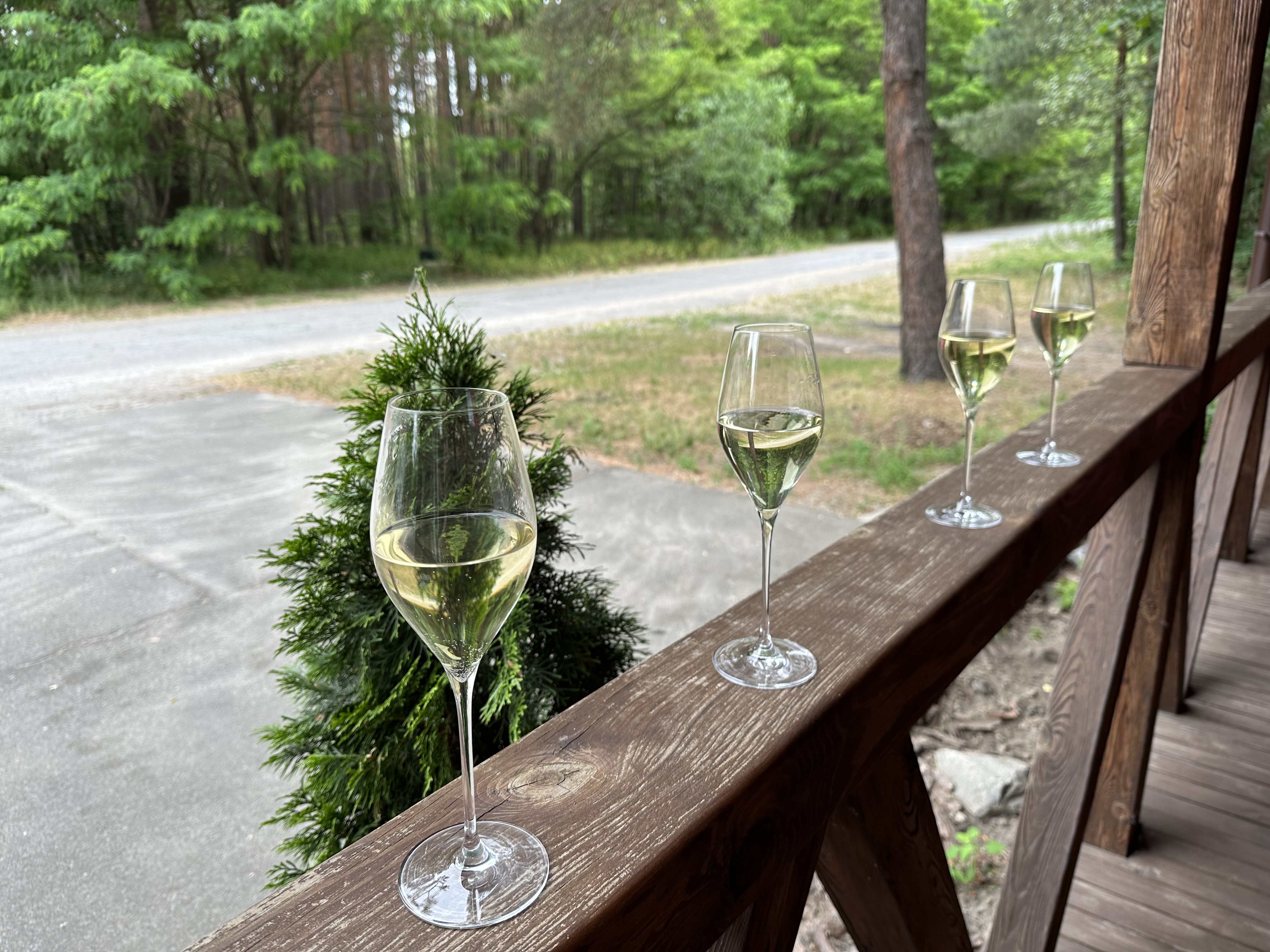 Sosnovyi Bir image 15