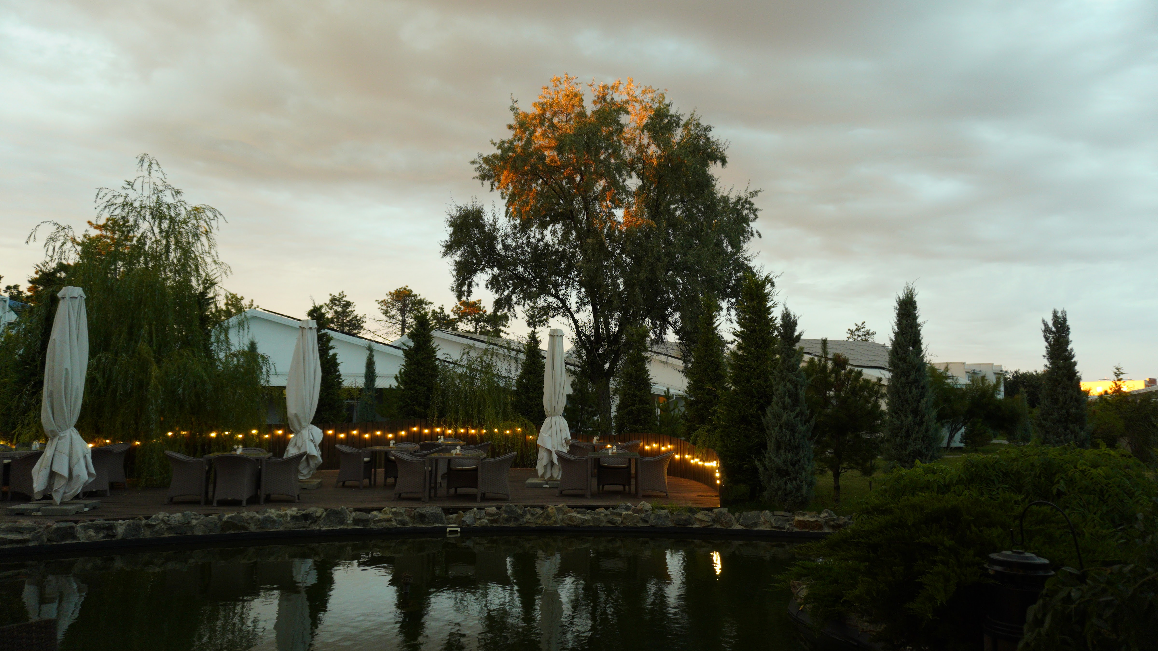 Ресторан Vivaldi image 5