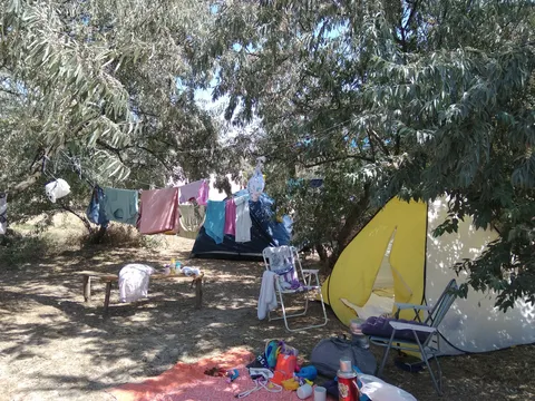 Kalinovich image 1