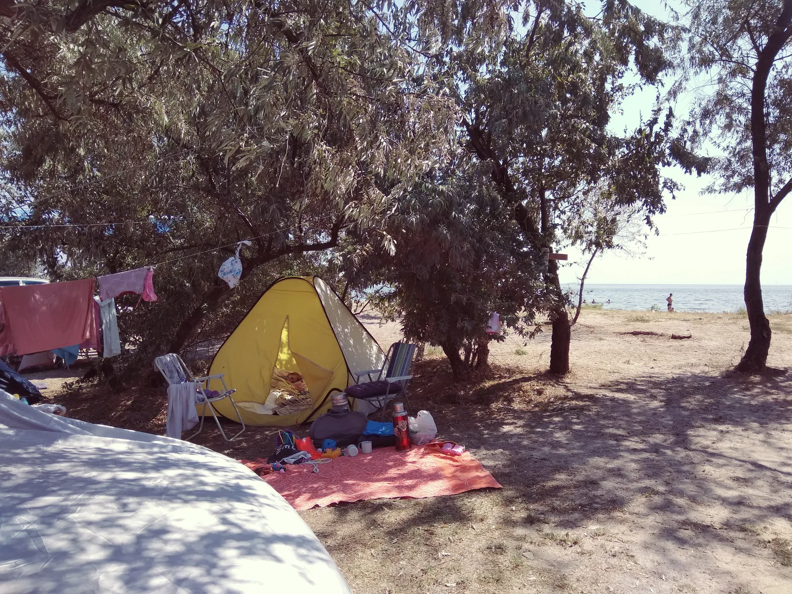 Kalinovich image 2