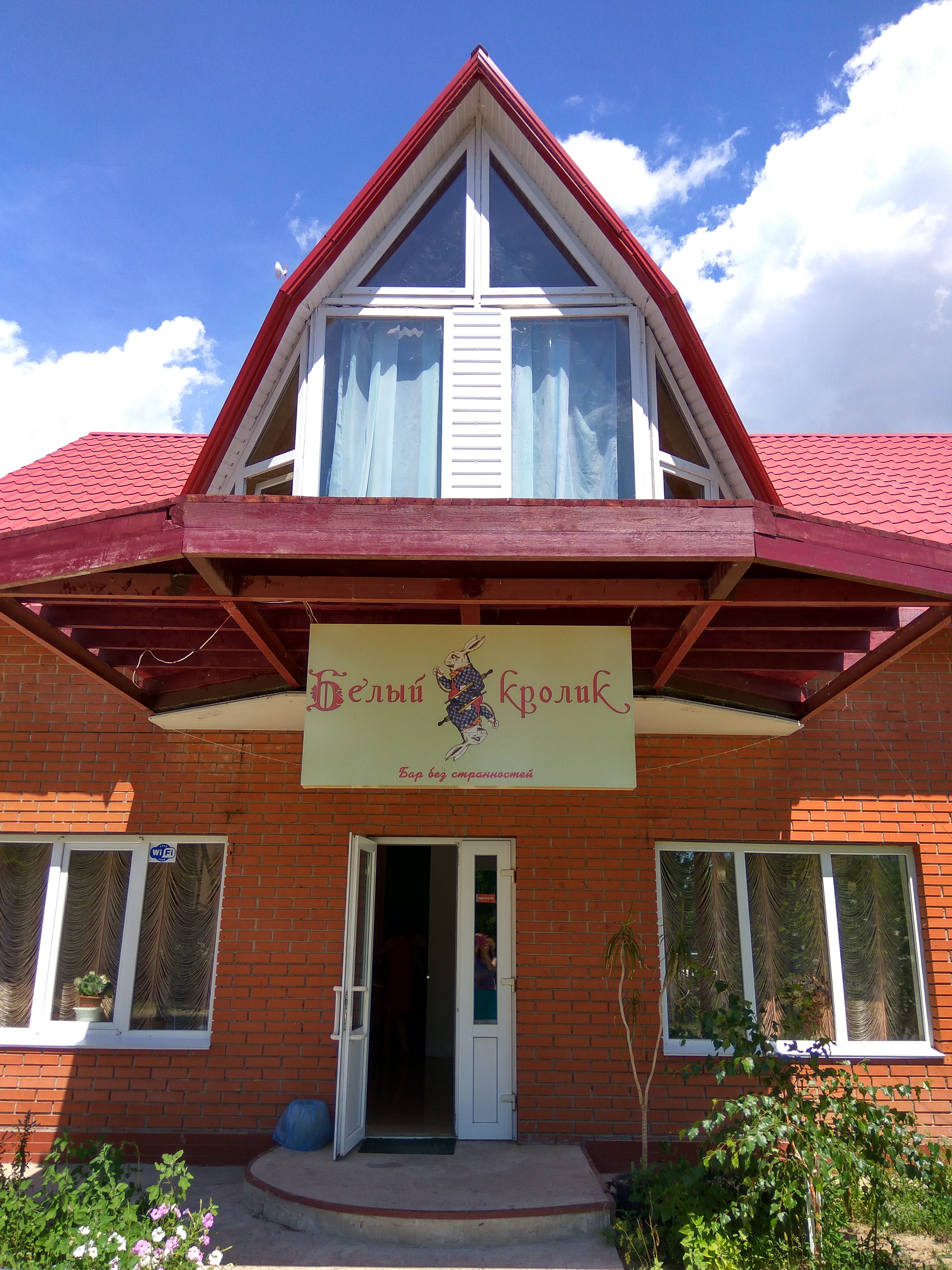 white rabbit image 2