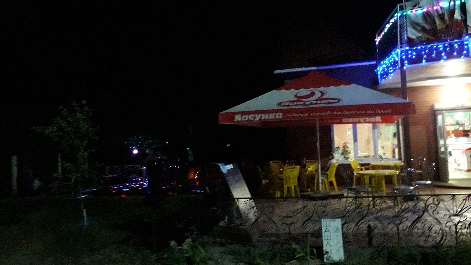 white rabbit image 5