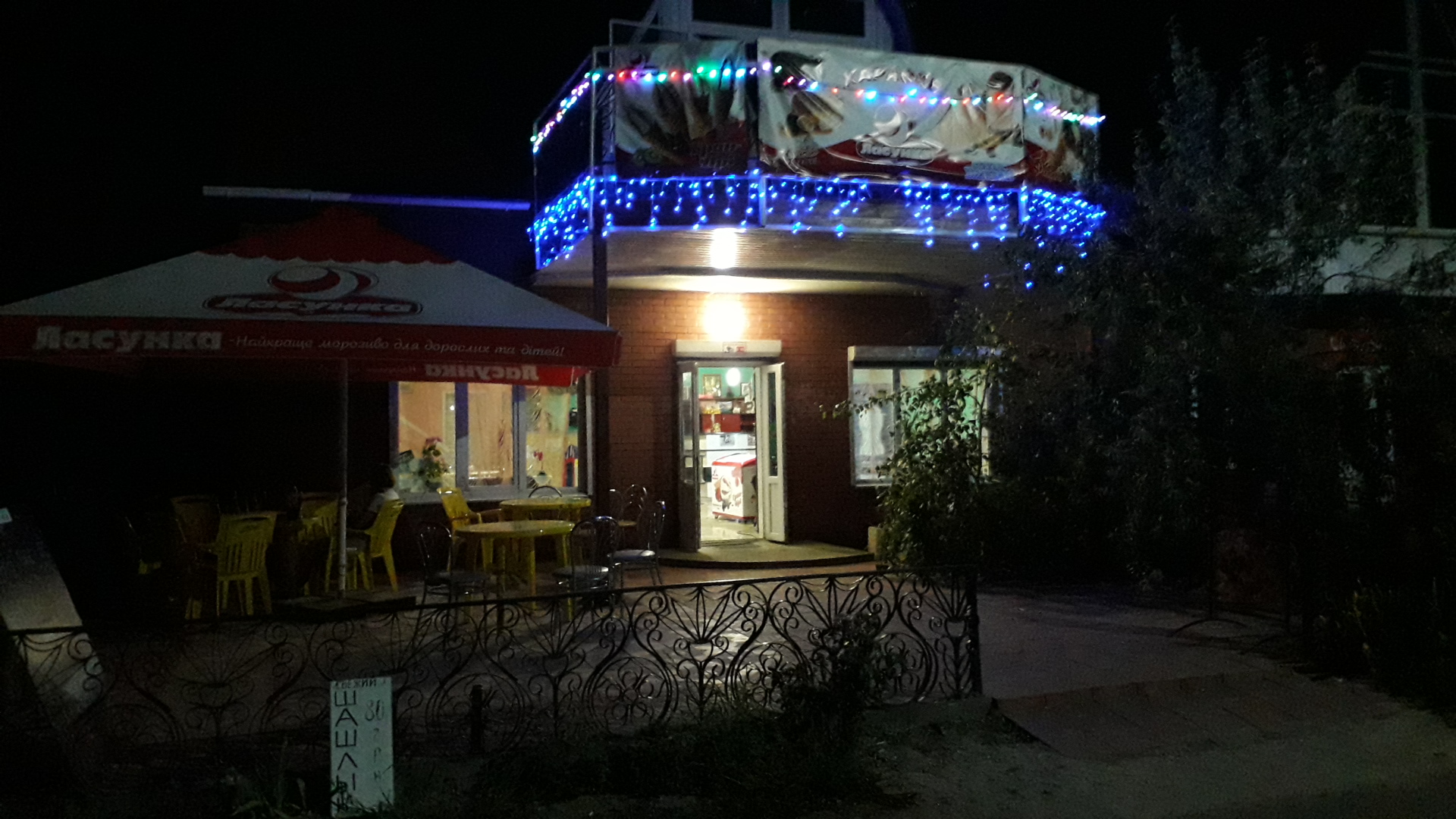 white rabbit image 9