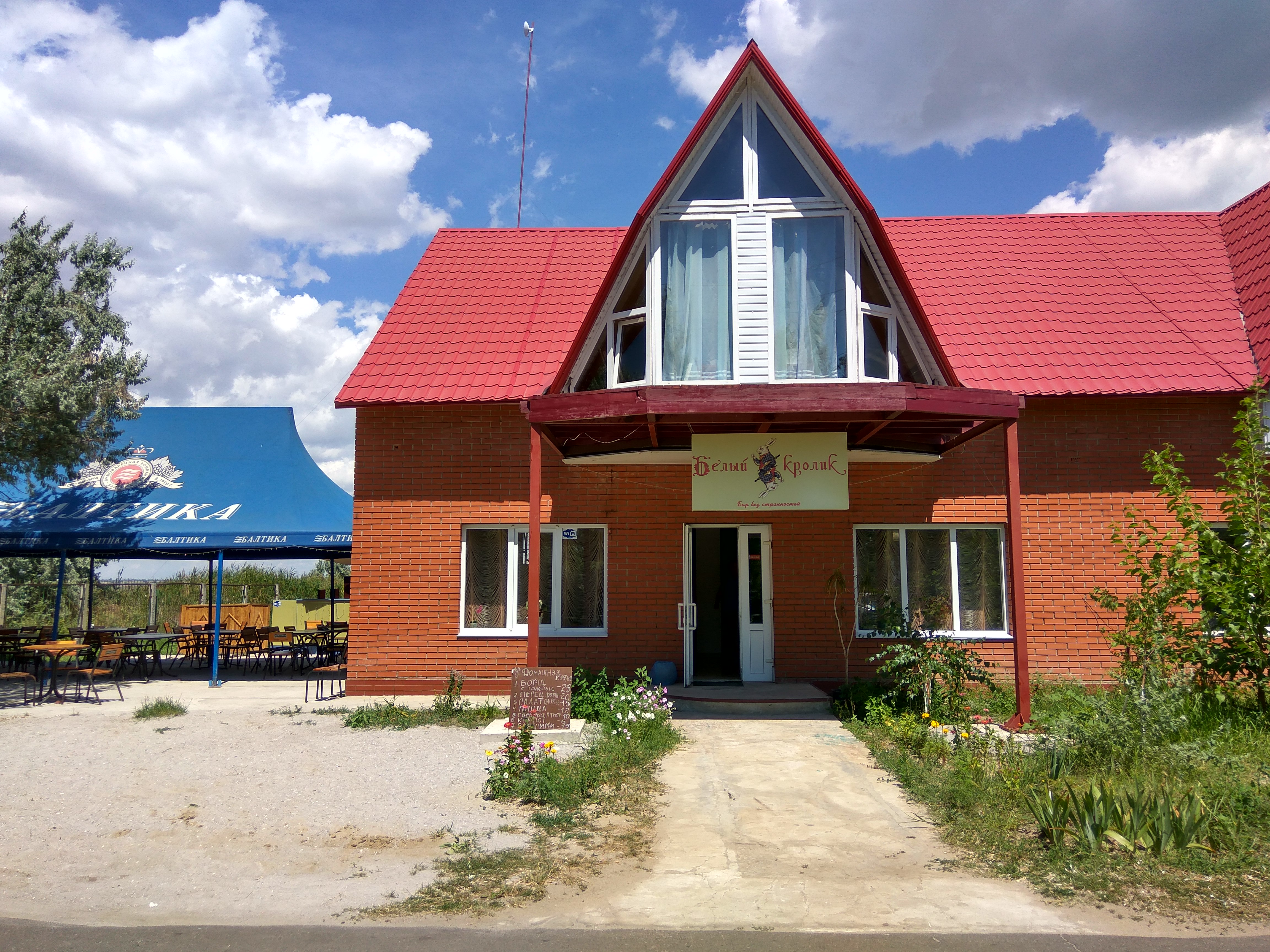 white rabbit image 10