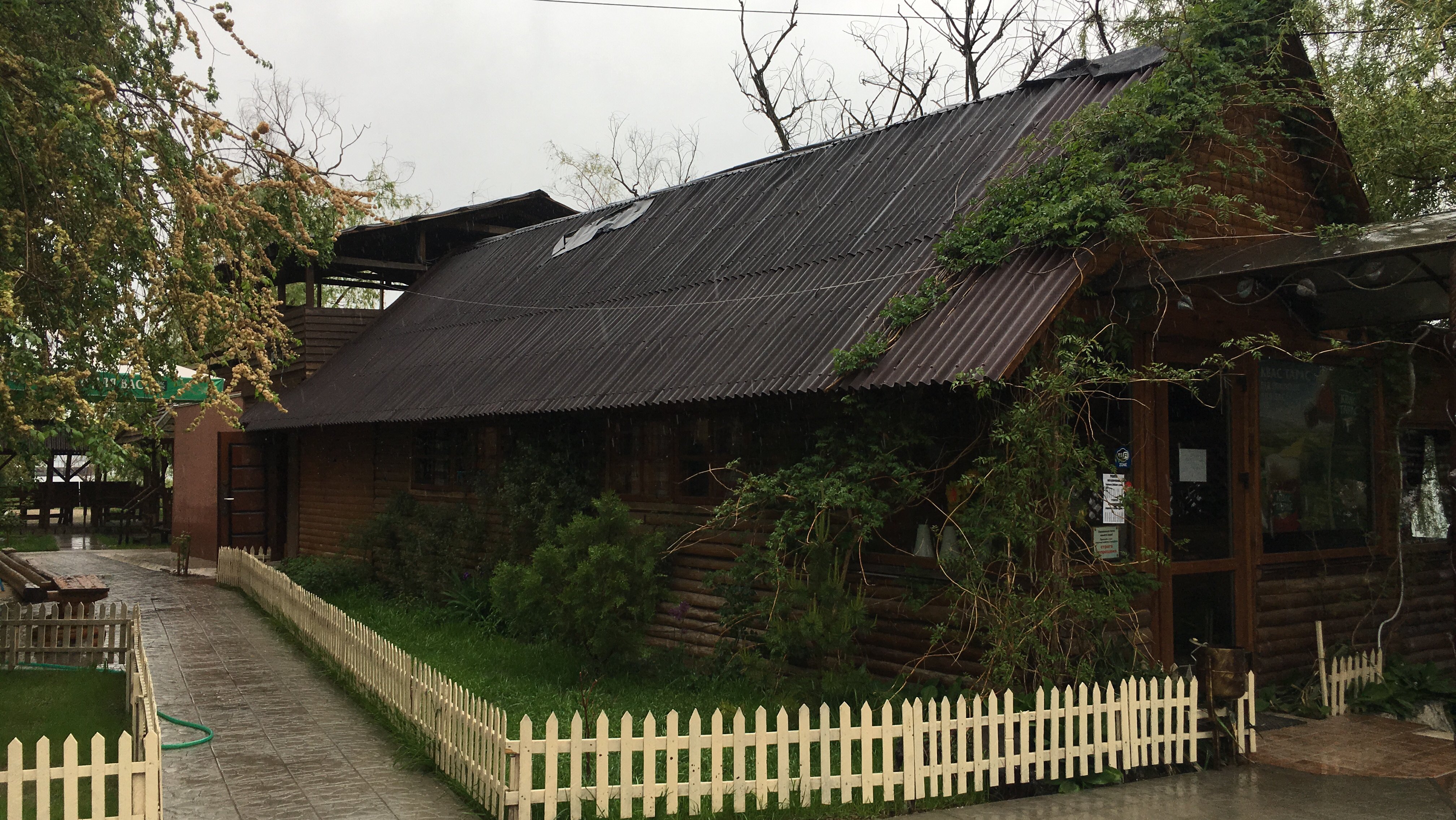 Козачок image 3