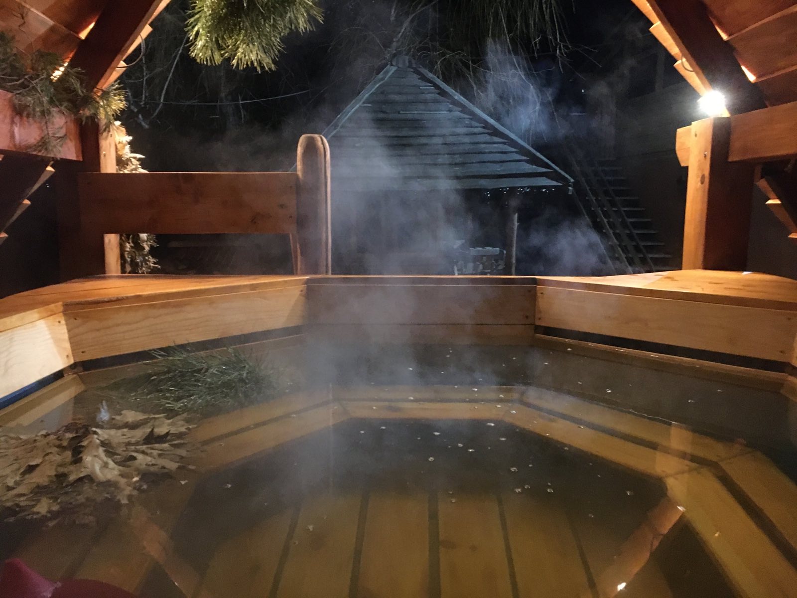 Козачок image 5