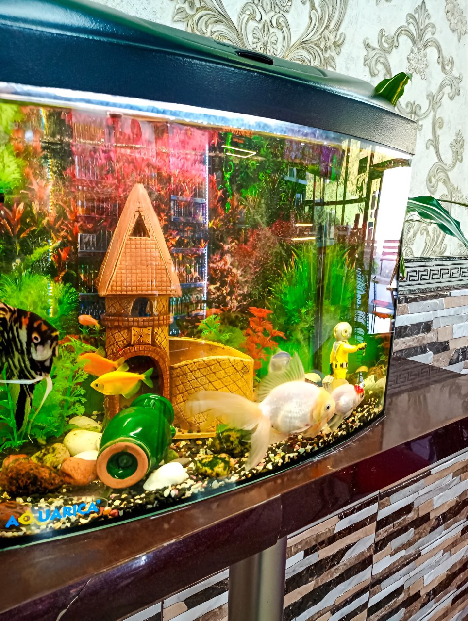 MR.SHAWERMA image 10