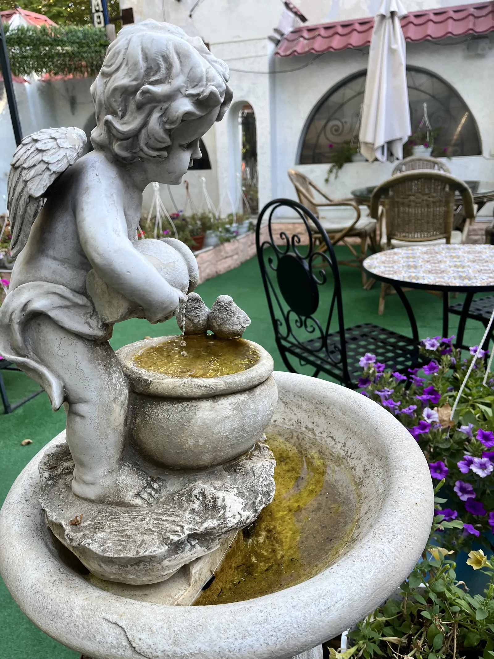 L'Allée image 8