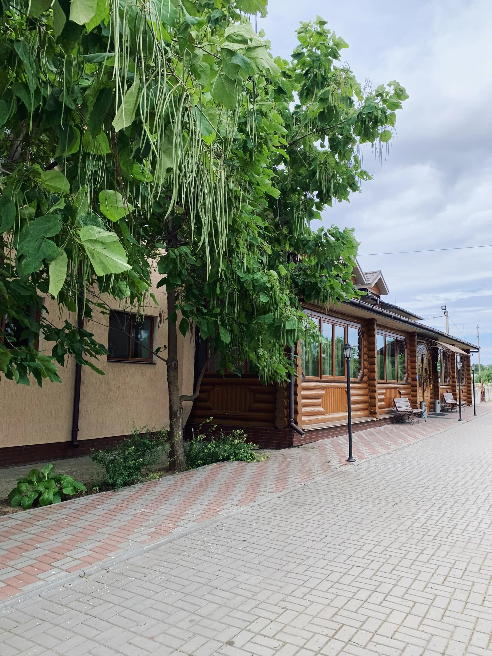Sadyba image 9