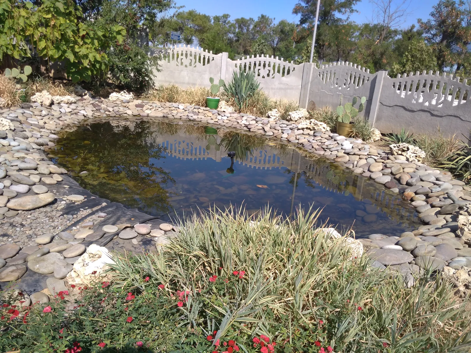 Sadyba image 10