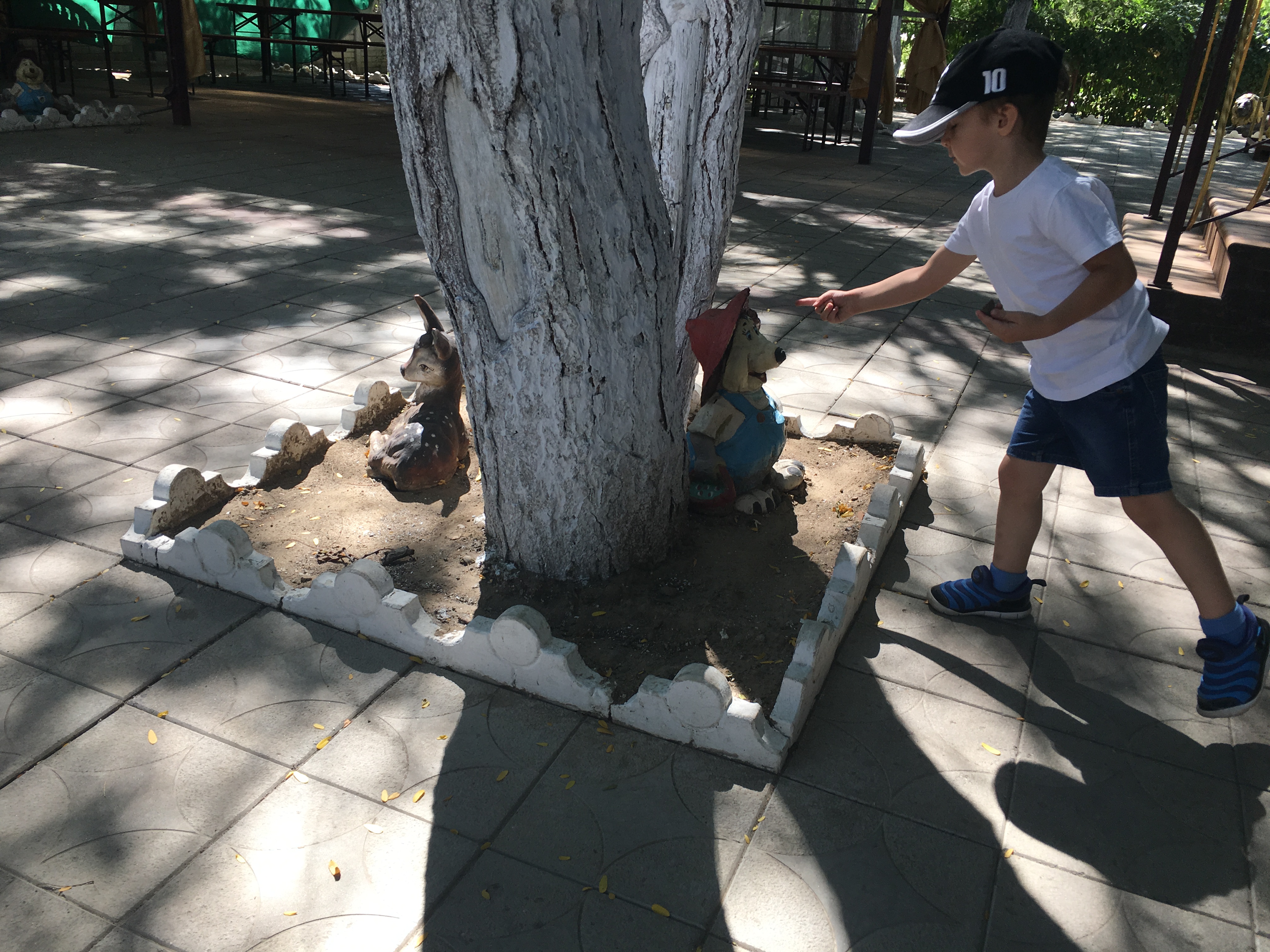 Sonyachna Polyana image 4