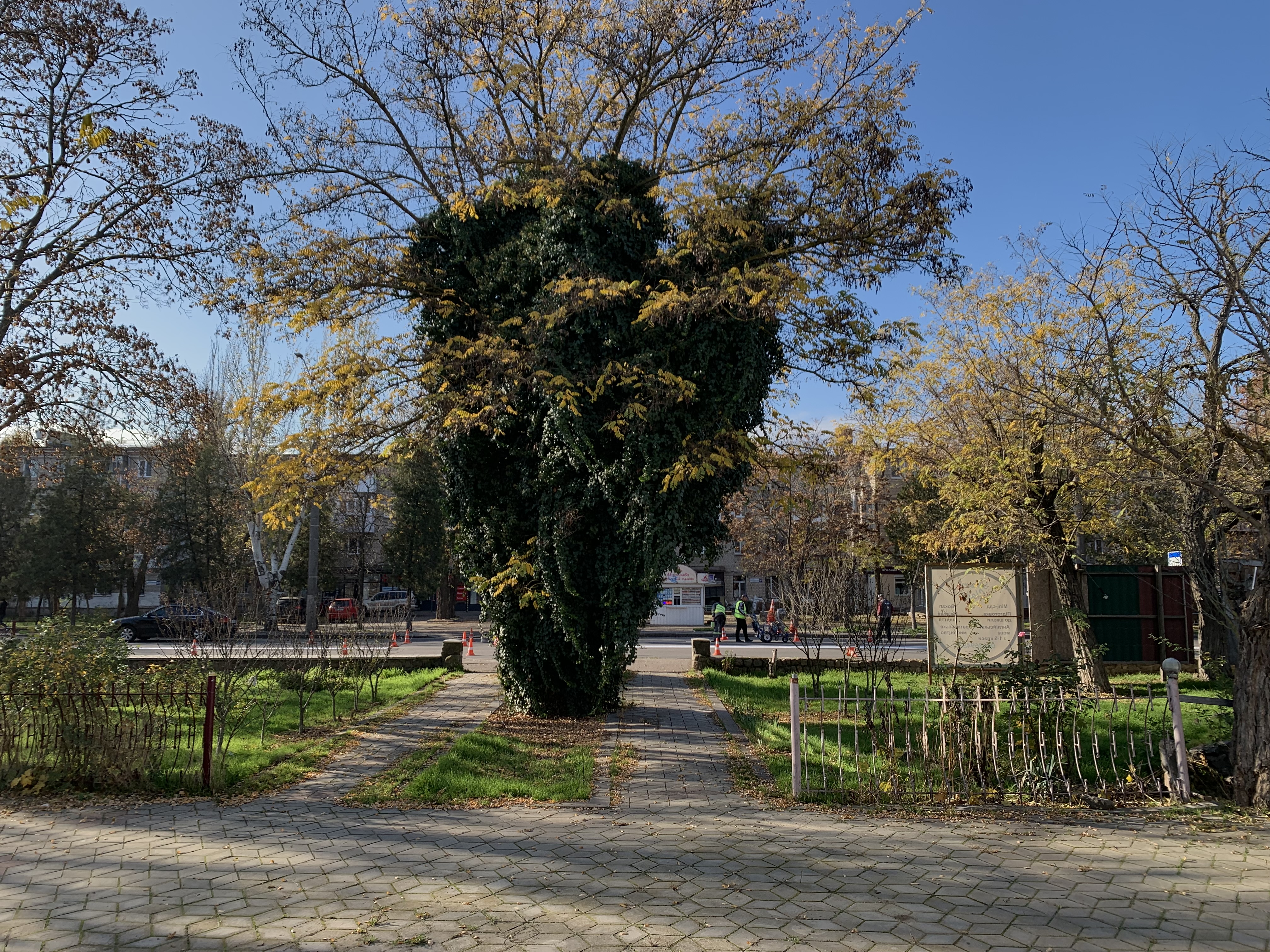 Ресторан «Tandem» image 6