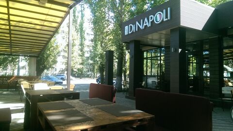 DiNapoli image 4