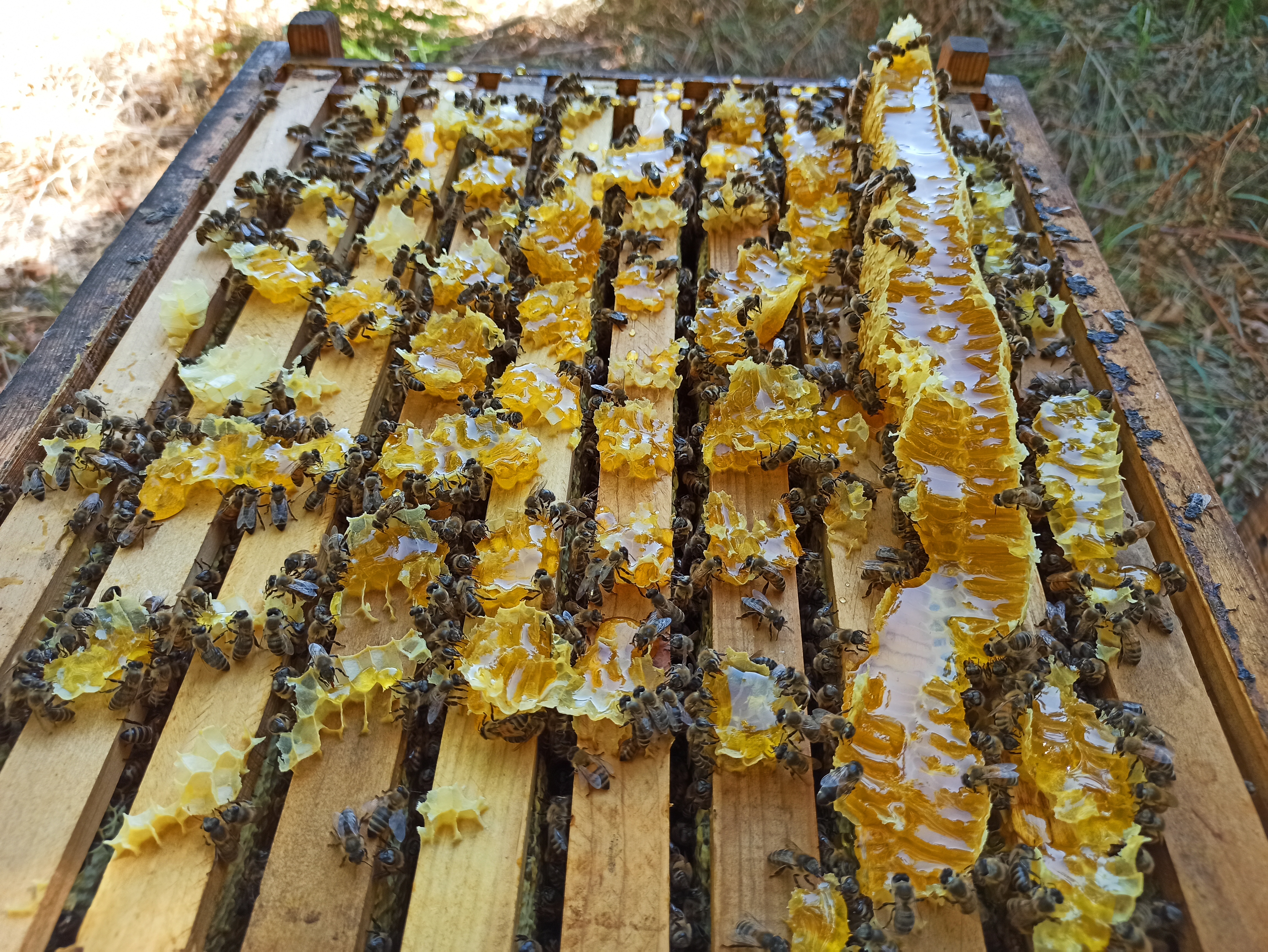 Bdzholyar Haldin A. V. image 1