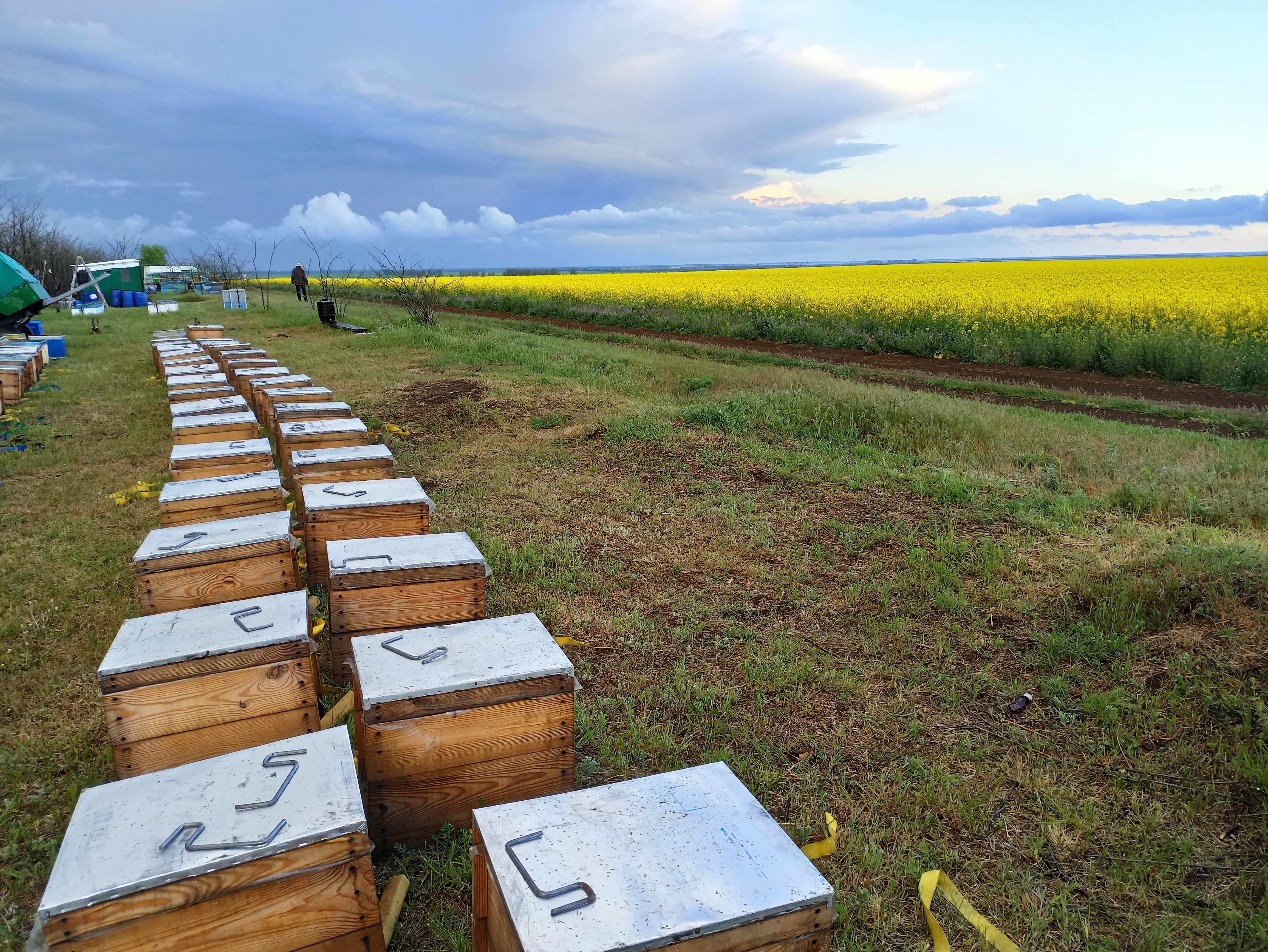 Bdzholyar Haldin A. V. image 6