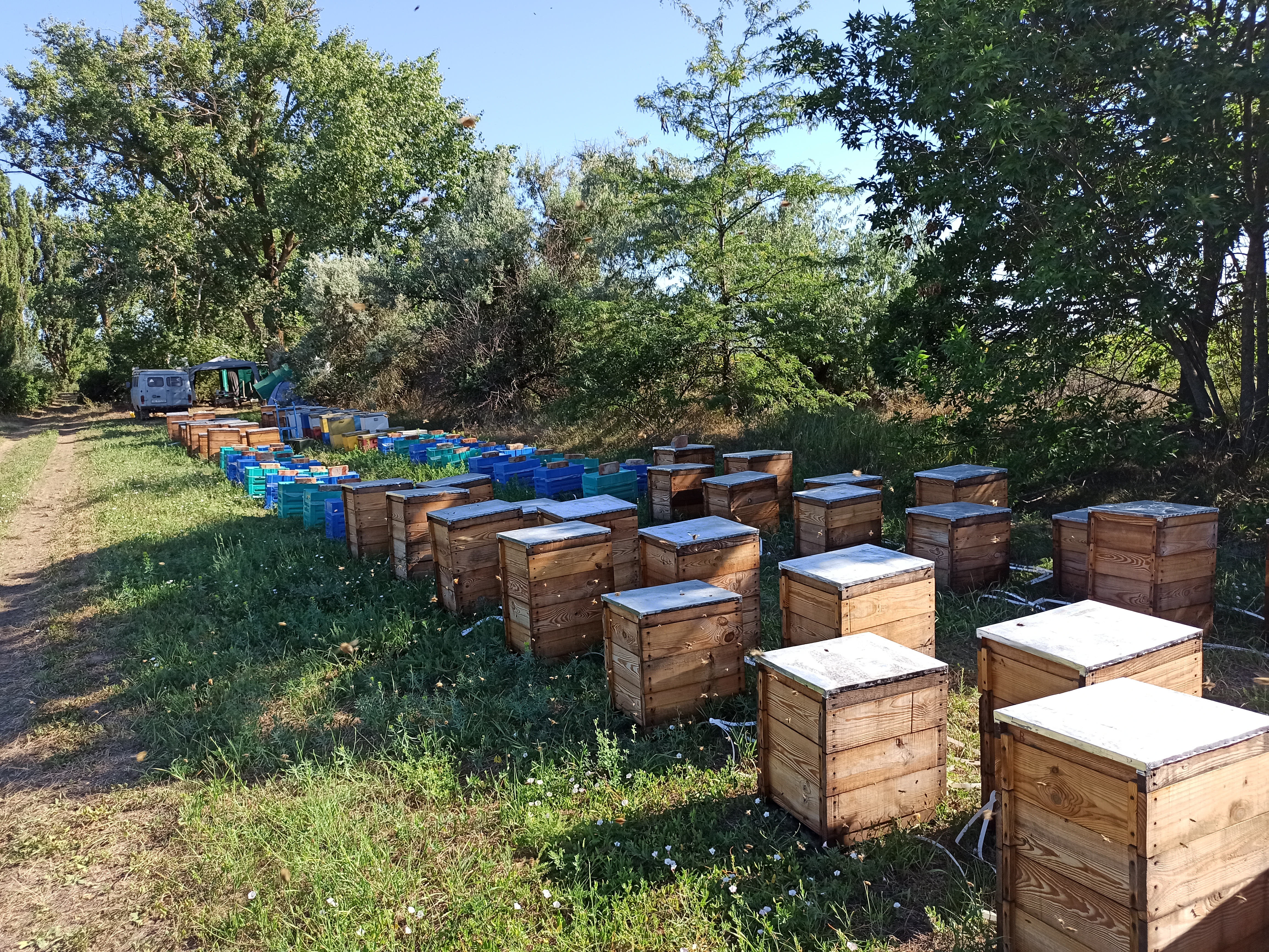 Bdzholyar Haldin A. V. image 7